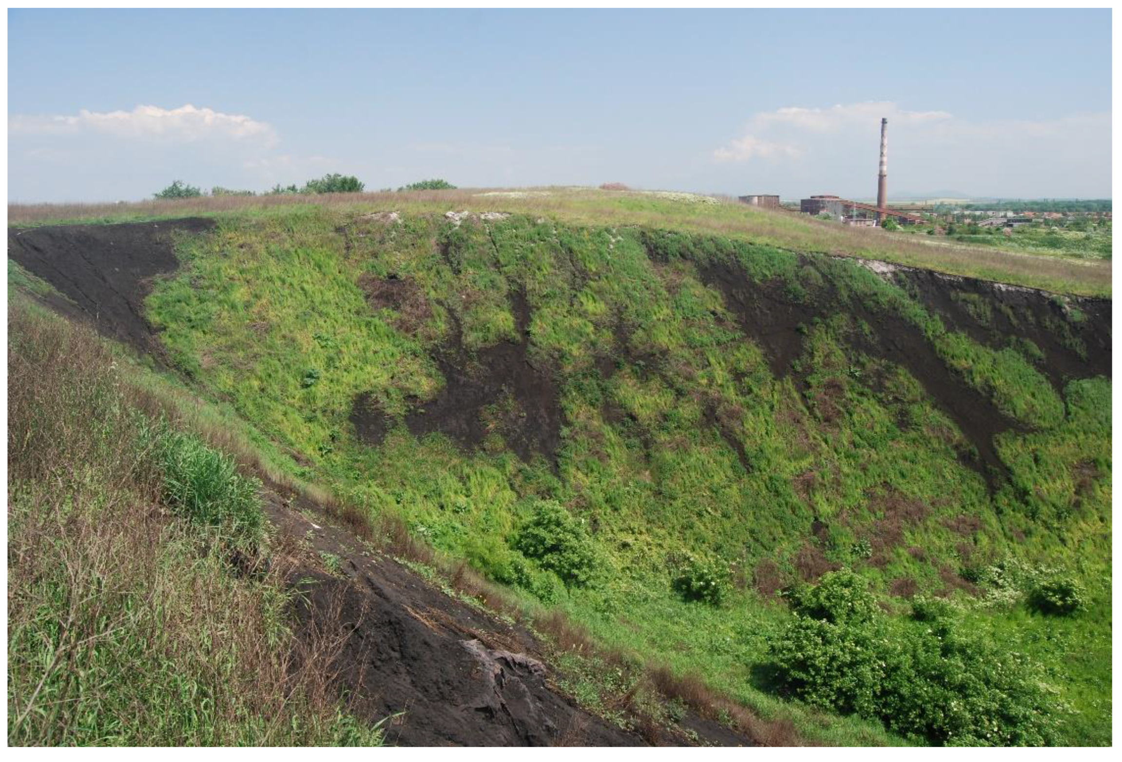 Sustainability 13 06605 g006