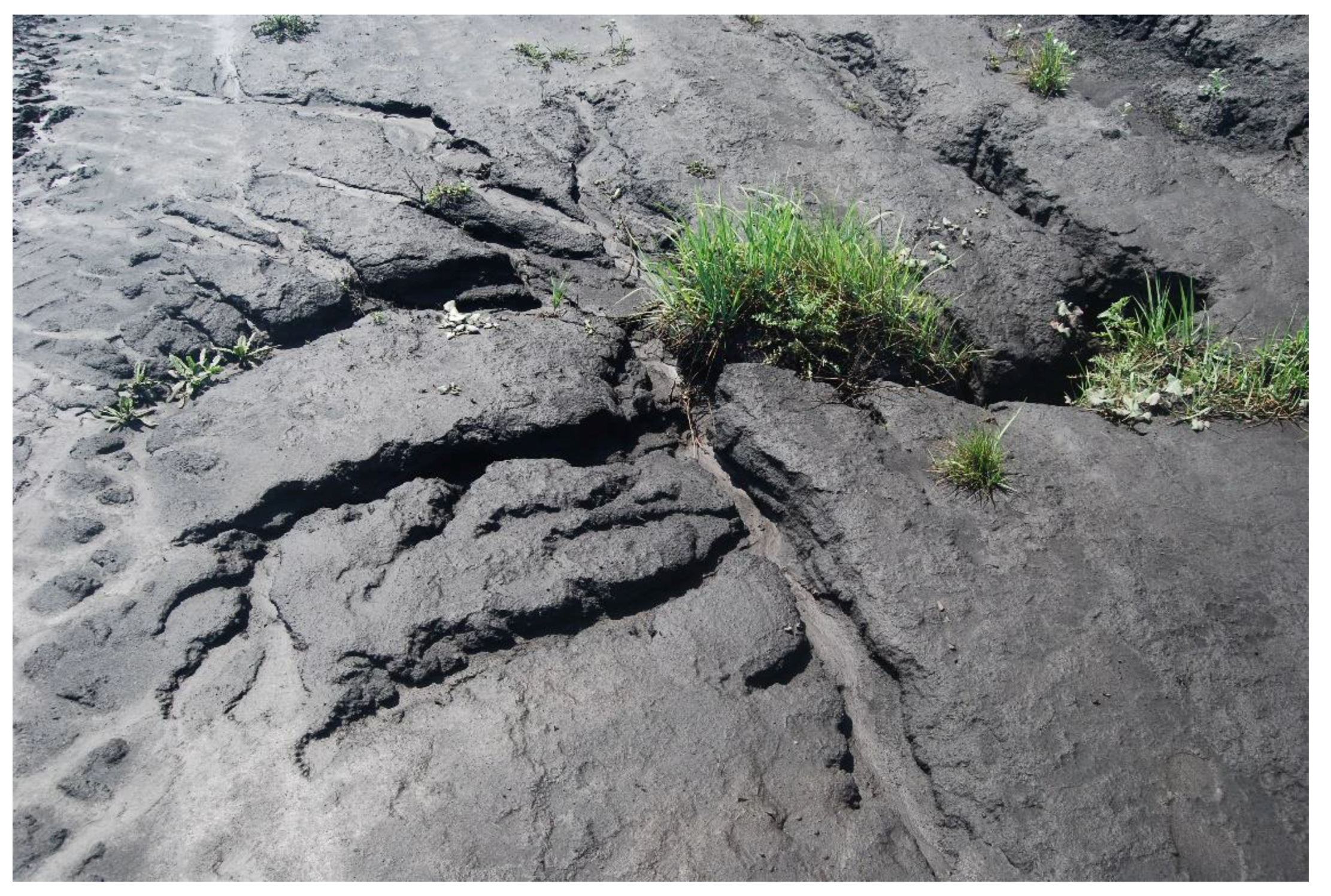 Sustainability 13 06605 g007