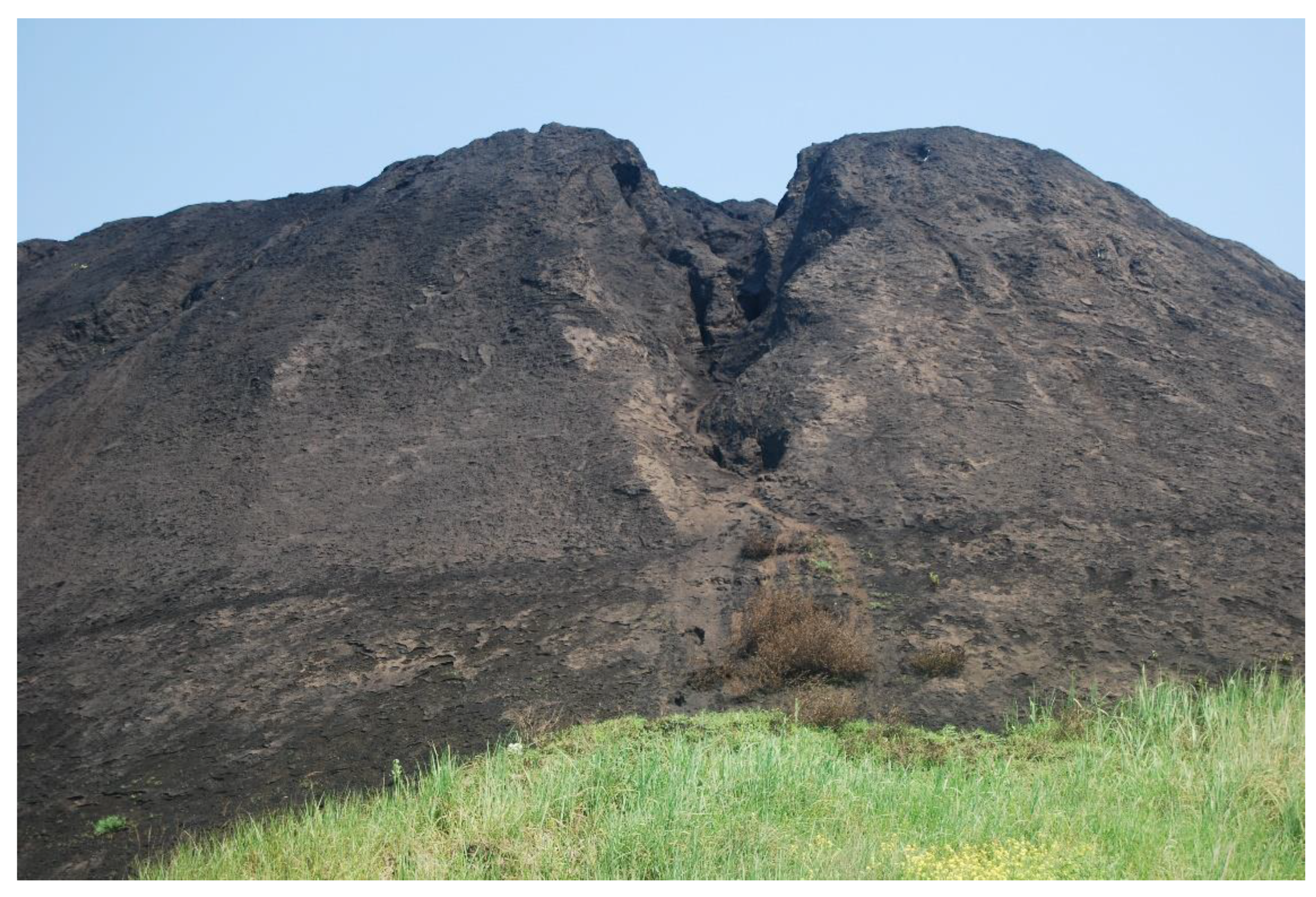 Sustainability 13 06605 g008