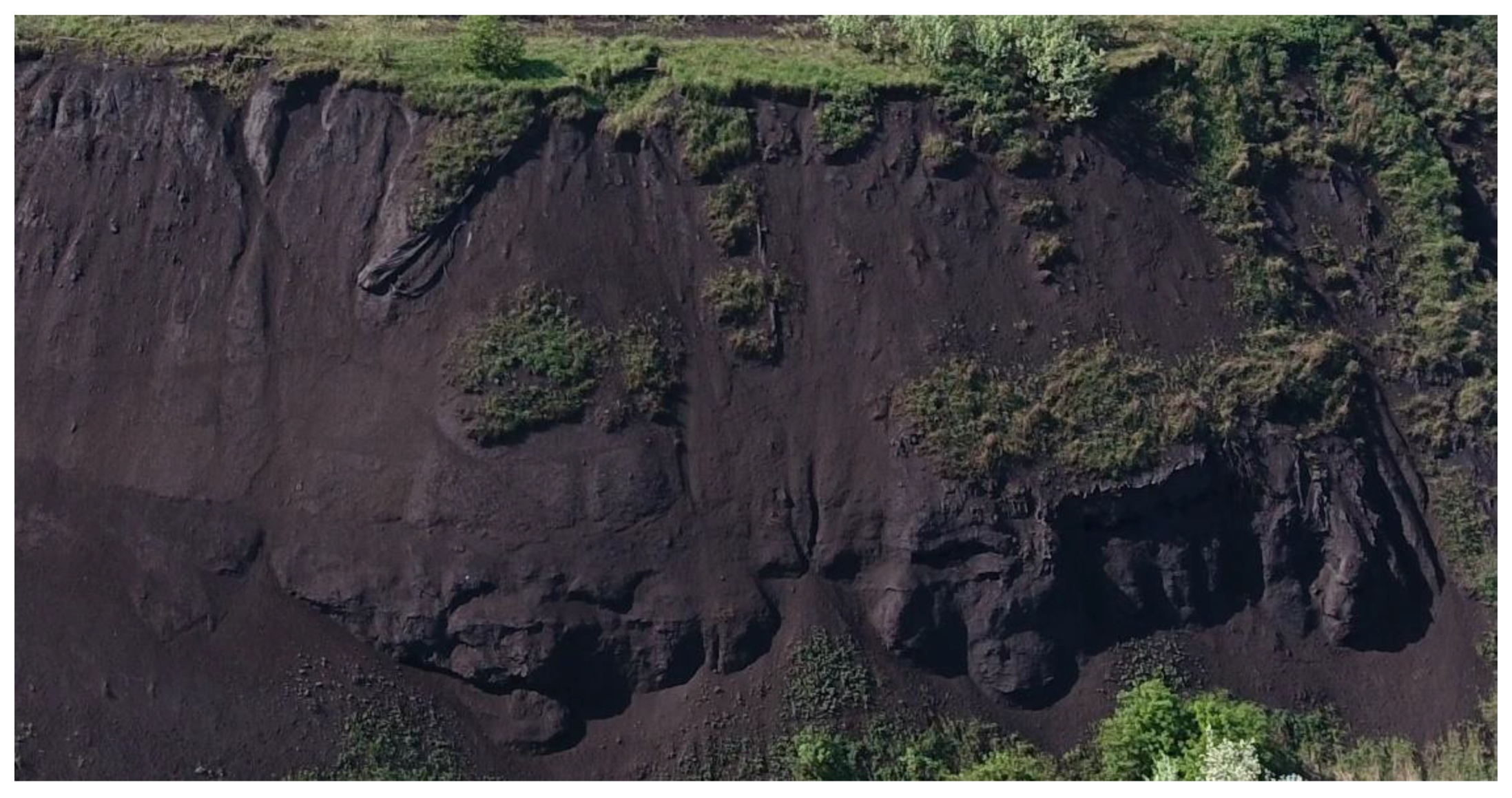 Sustainability 13 06605 g009