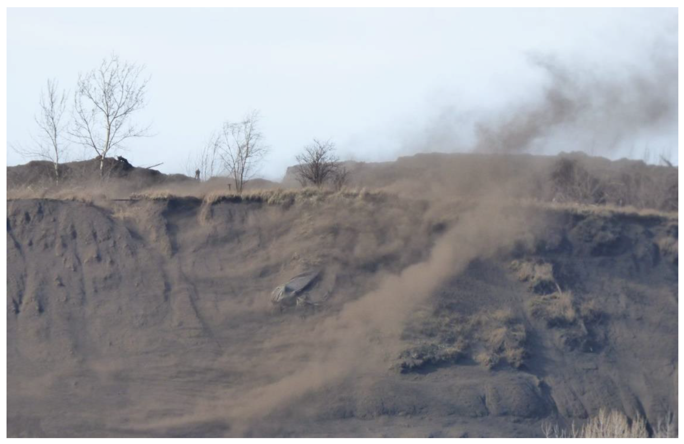 Sustainability 13 06605 g010