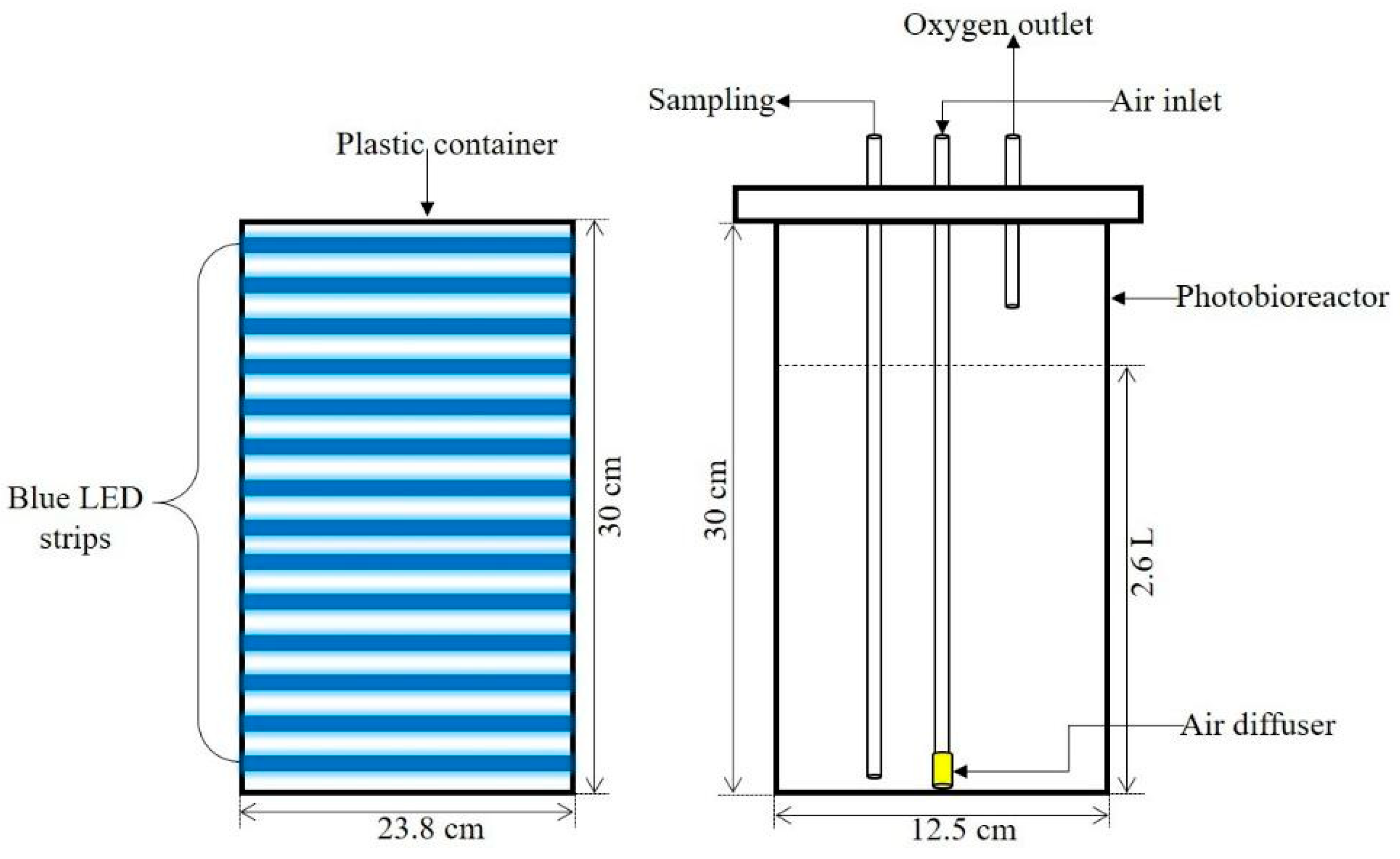 Sustainability 13 06606 g001 Sustainability 13 06606 g001