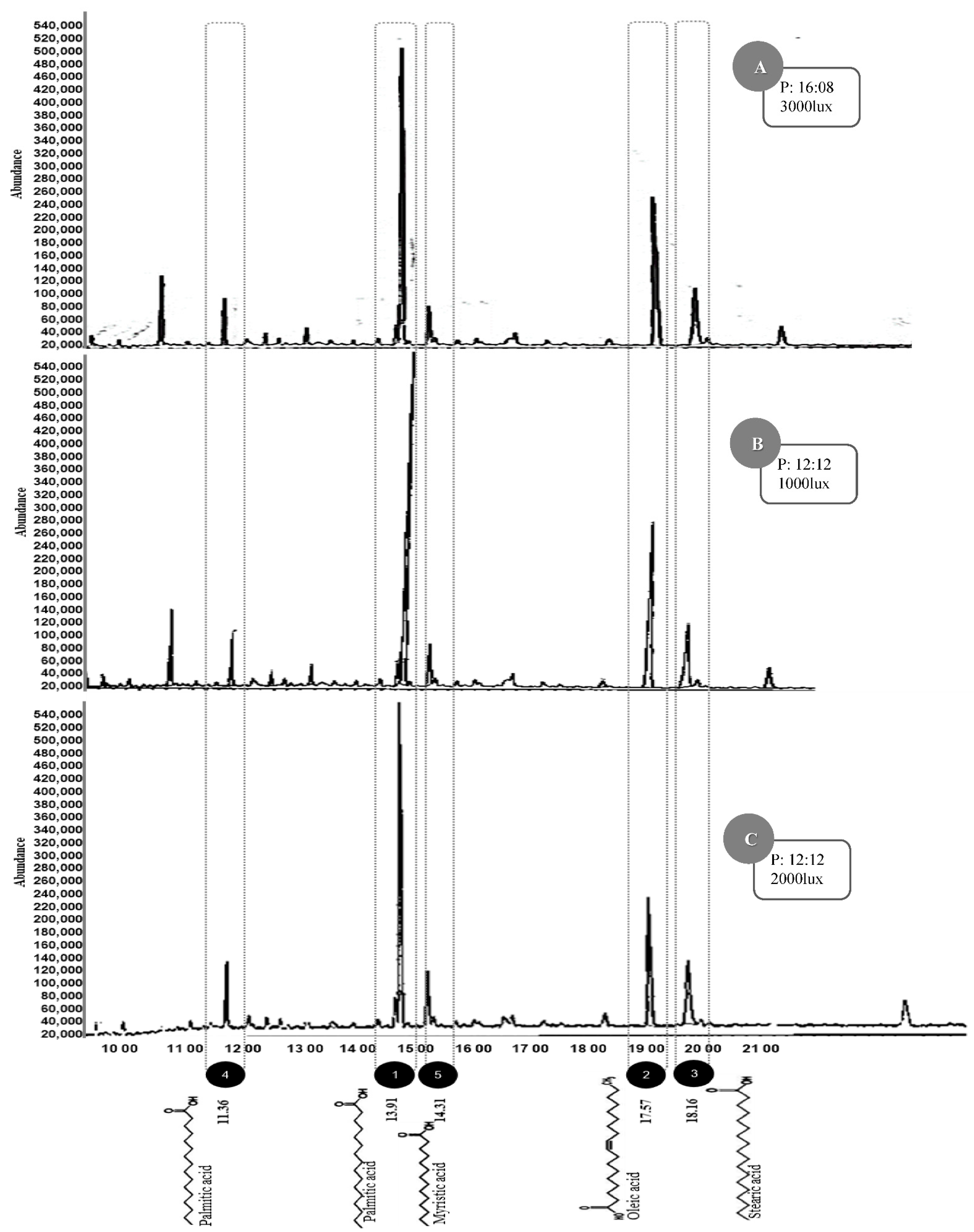 Sustainability Free Full Text Influence Of Light Intensity And Photoperiod On The Photoautotrophic Growth And Lipid Content Of The Microalgae Verrucodesmus Verrucosus In A Photobioreactor Html Sustainability Free Full Text Influence Of Light Intensity And Photoperiod On The Photoautotrophic Growth And Lipid Content Of The Microalgae Verrucodesmus Verrucosus In A Photobioreactor Html