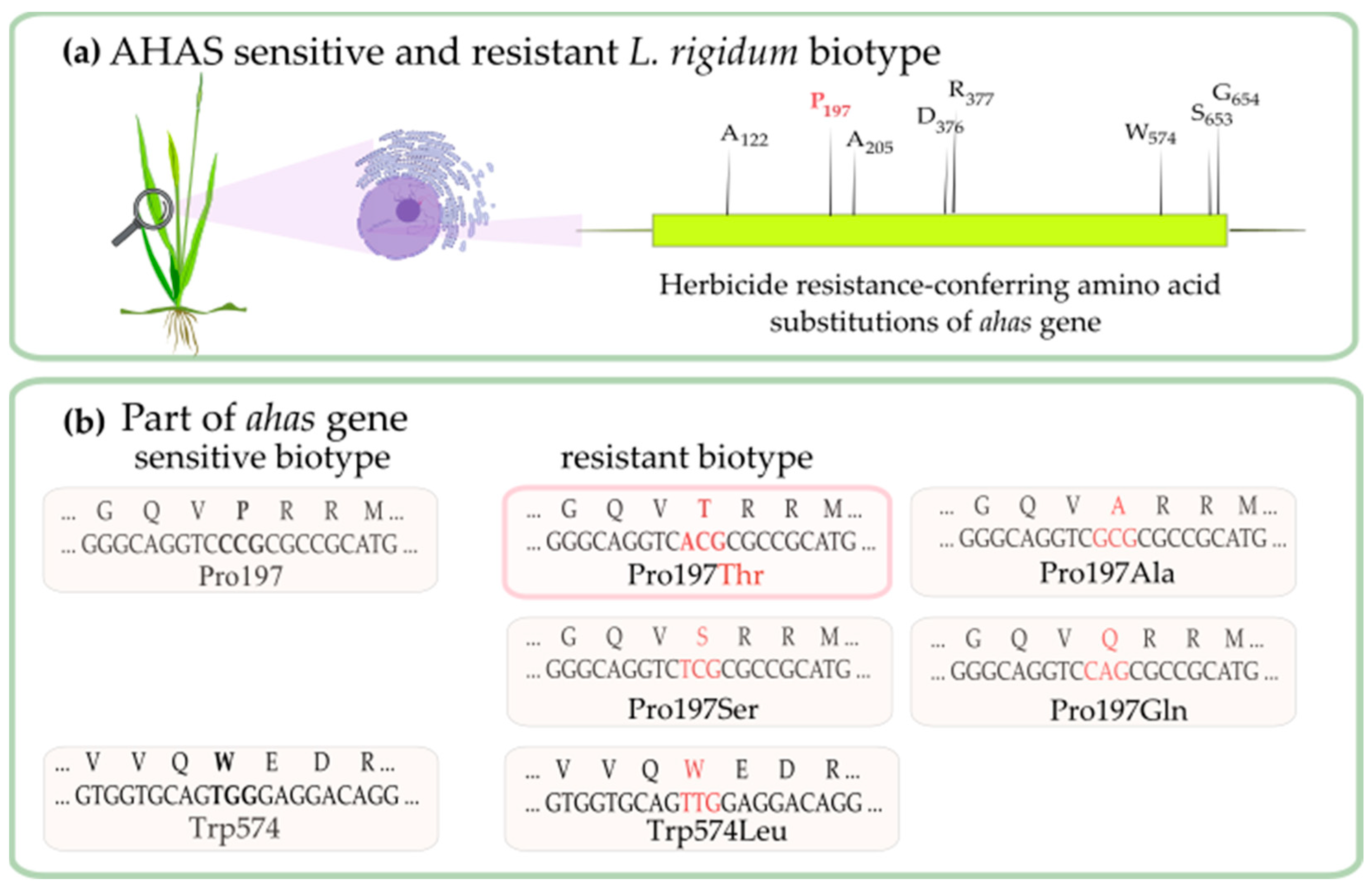 Sustainability 13 06648 g003 Sustainability 13 06648 g003