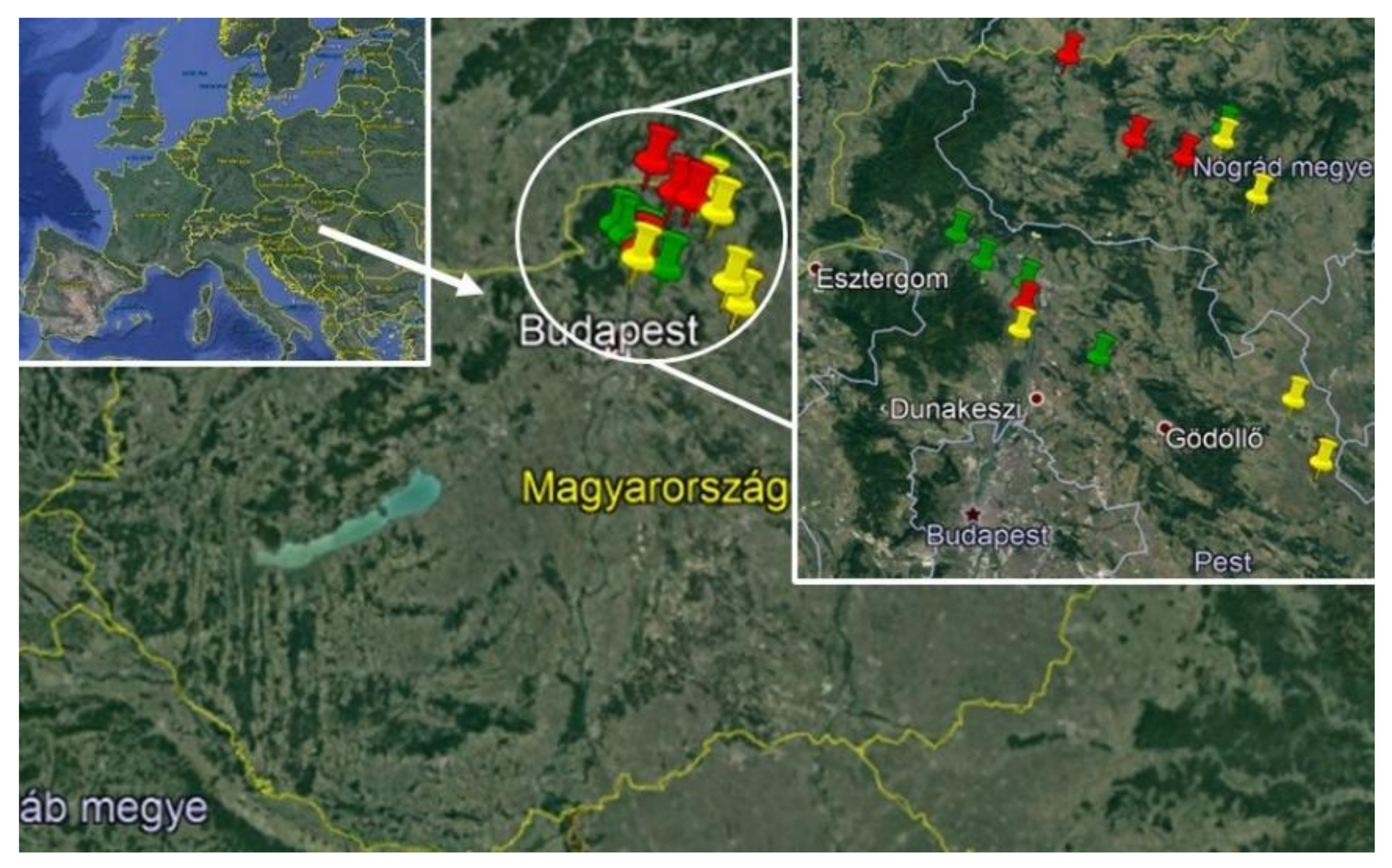 Sustainability 13 06676 g001