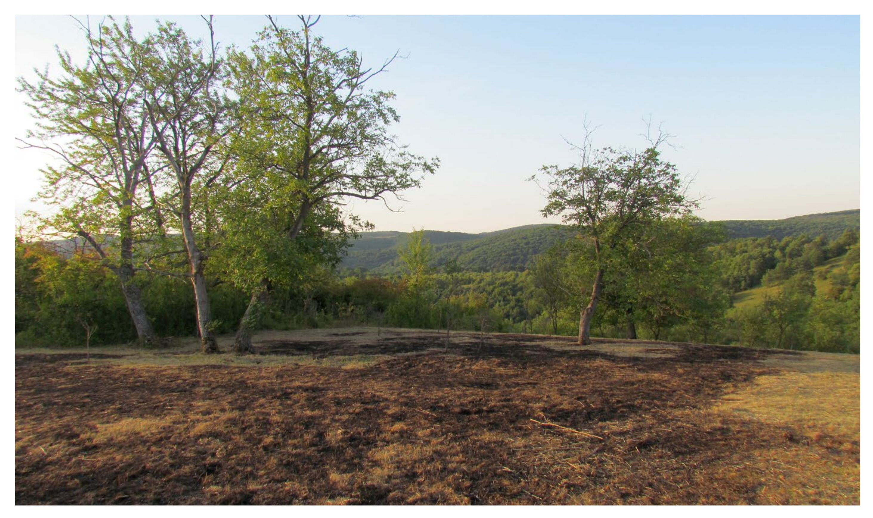 Sustainability 13 06676 g007