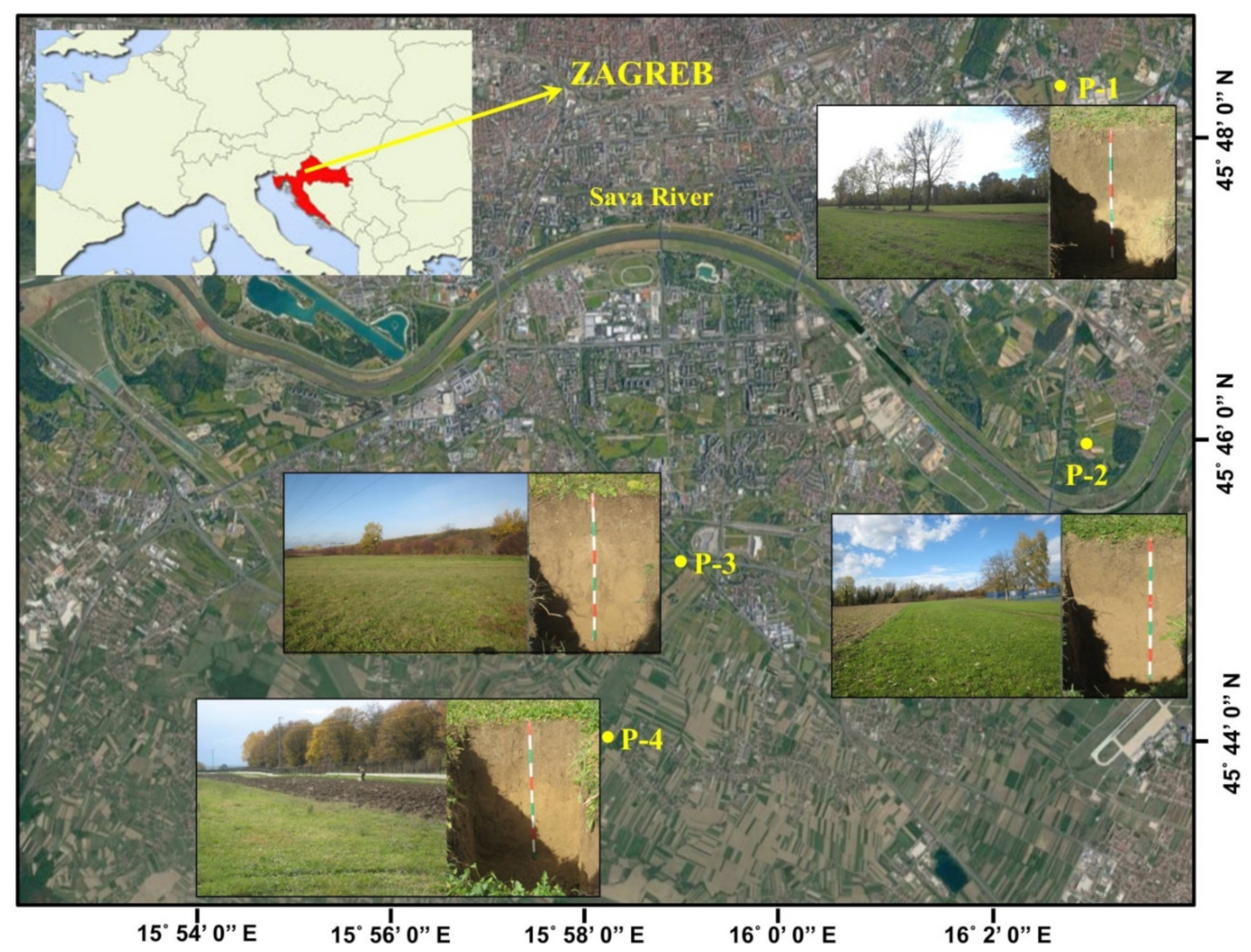 Sustainability 13 06688 g001 Sustainability 13 06688 g001