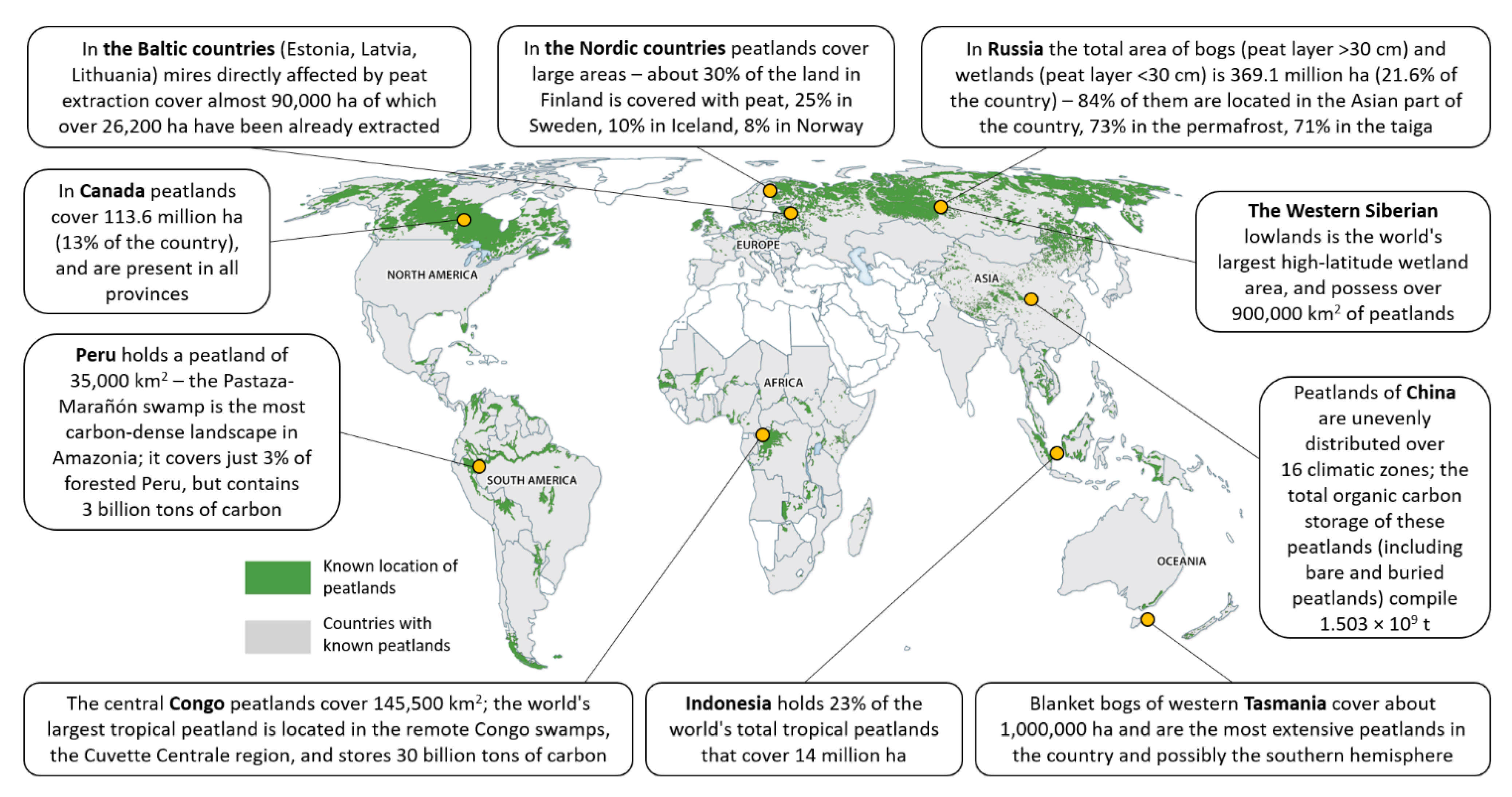 Sustainability 13 06726 g001