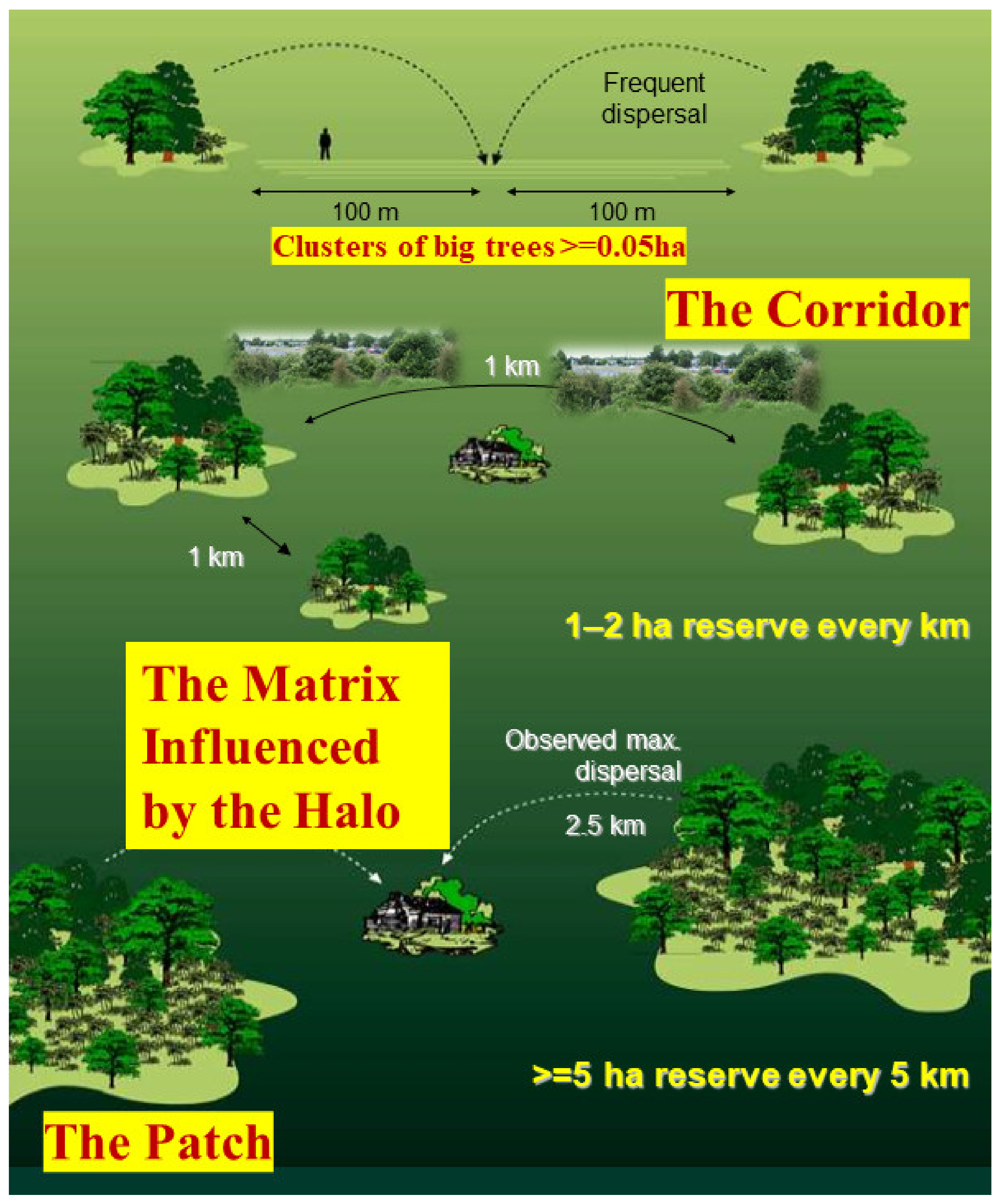 Sustainability 13 06732 g005