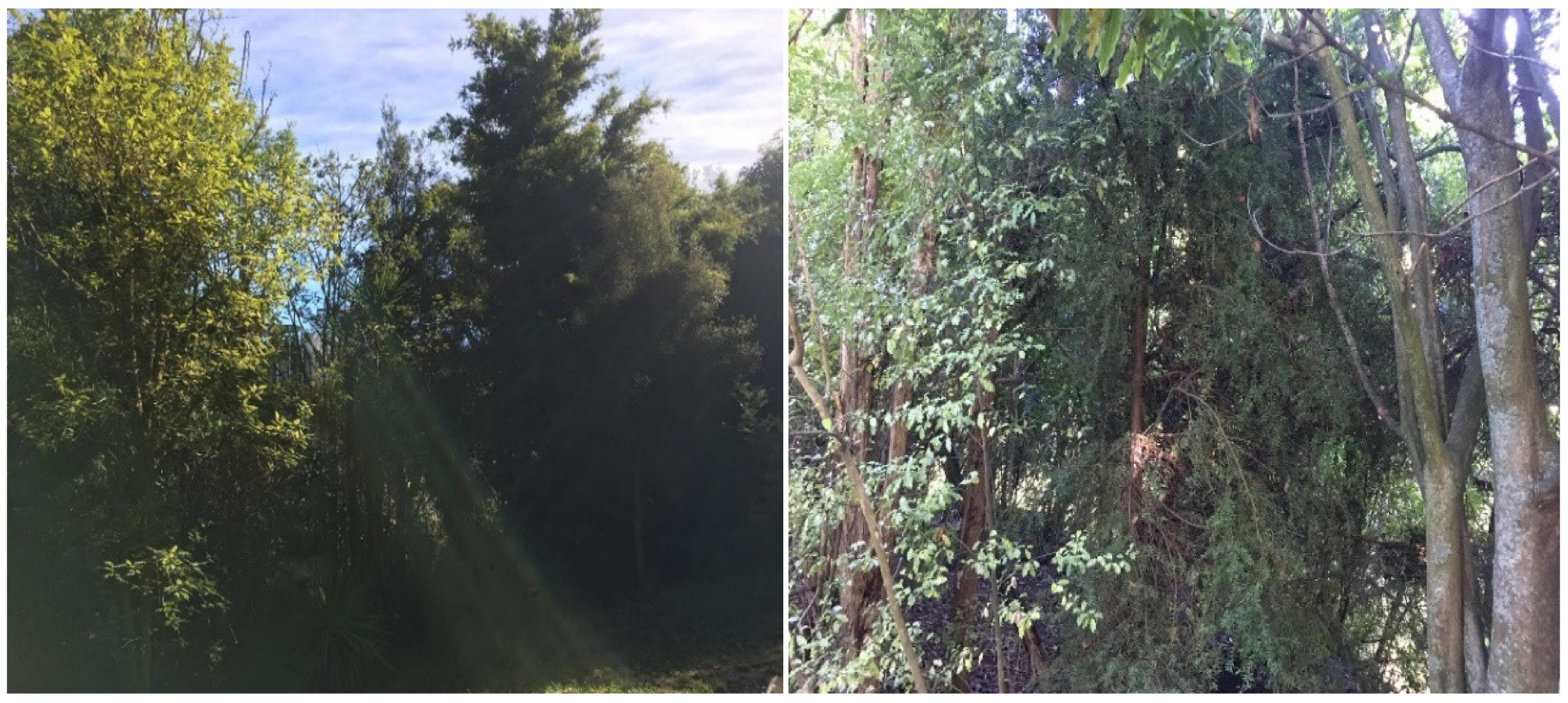 Sustainability 13 06732 g0a1