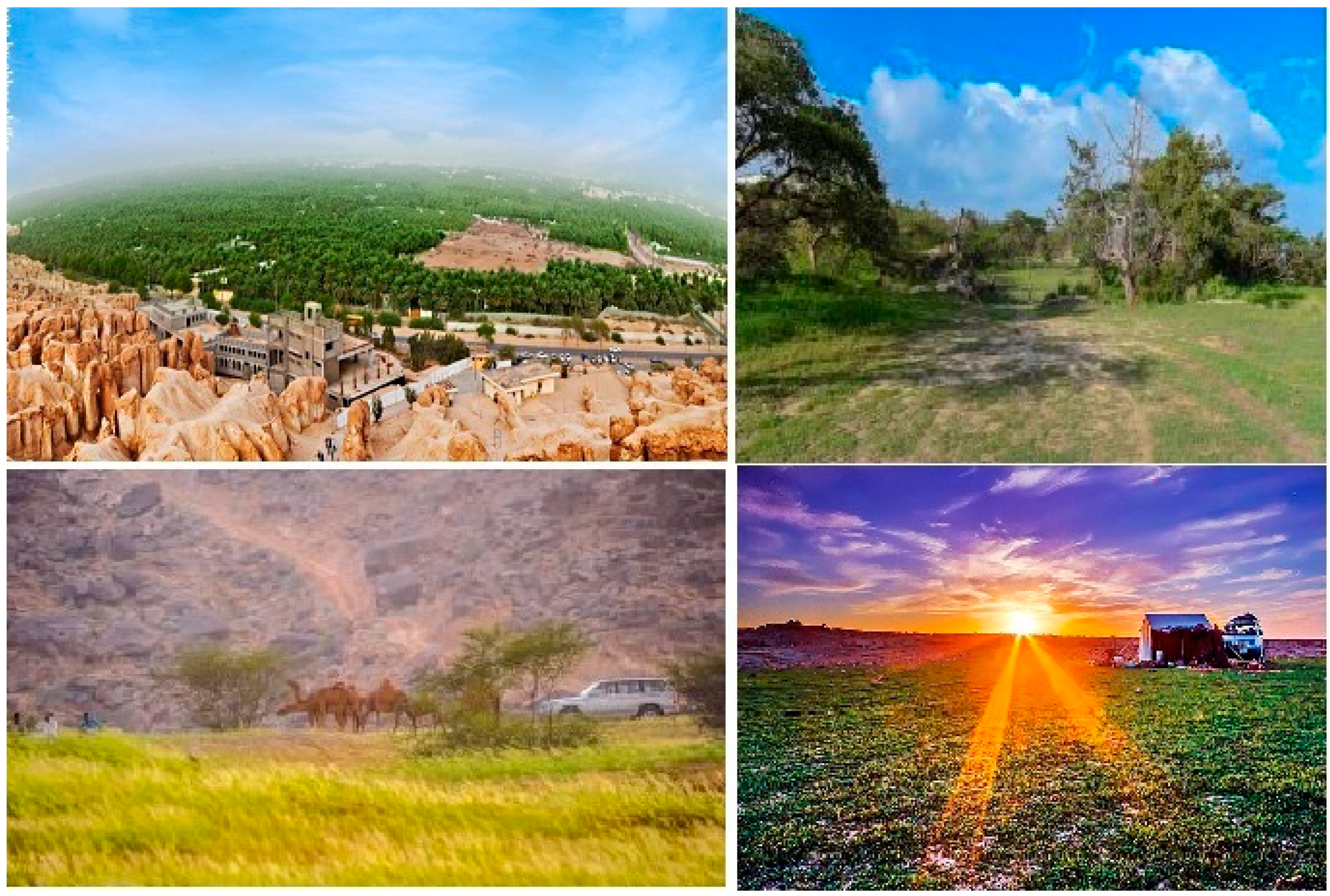 Sustainability 13 06742 g002