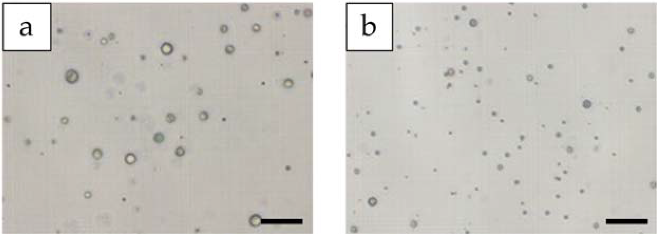 Sustainability 13 06769 g002 Sustainability 13 06769 g002