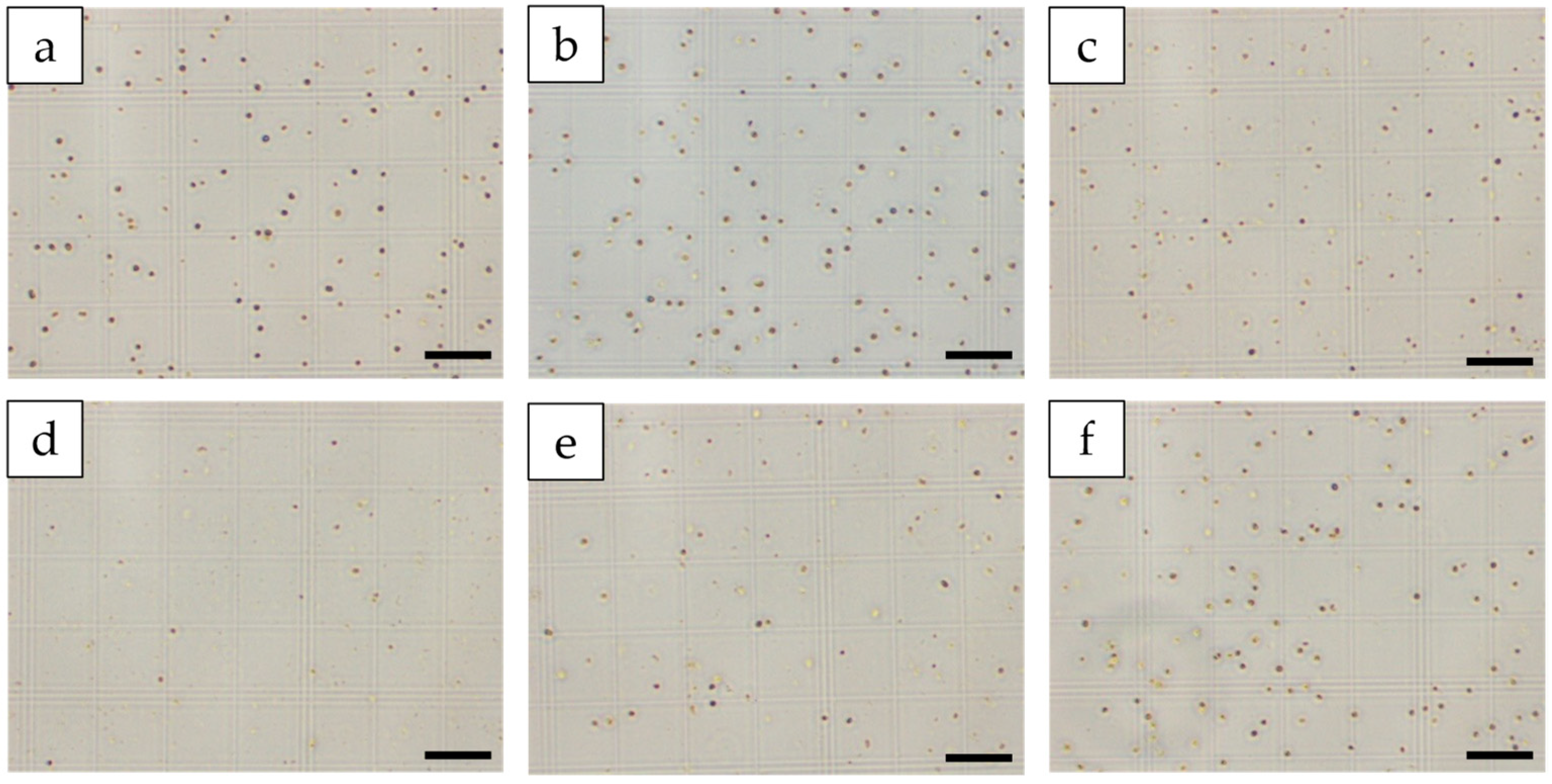 Sustainability 13 06769 g004 Sustainability 13 06769 g004