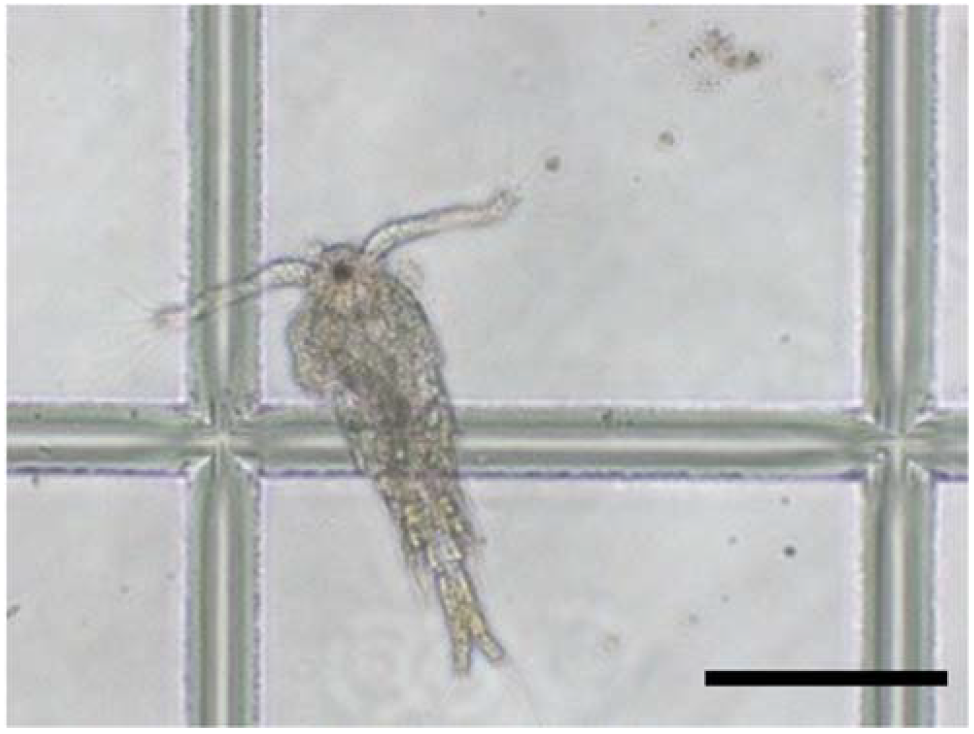 Sustainability 13 06769 g009 Sustainability 13 06769 g009