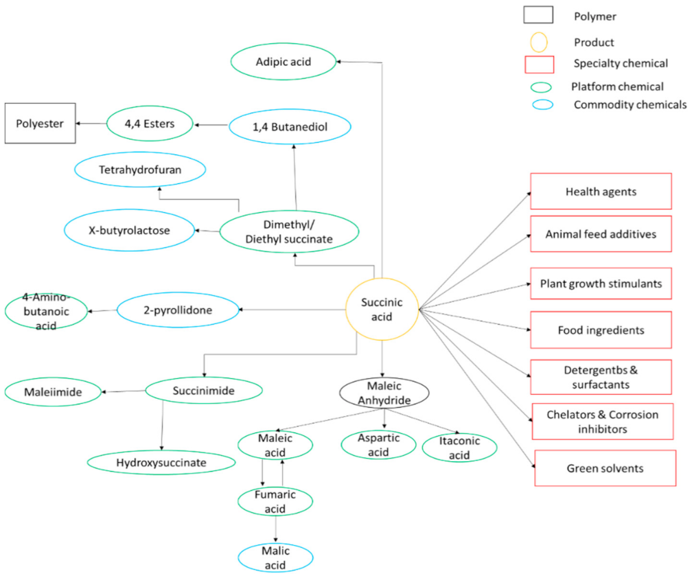 Sustainability 13 06794 g002 Sustainability 13 06794 g002