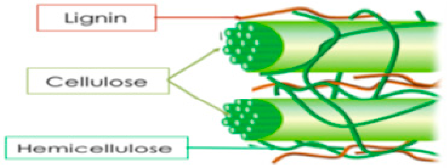 Sustainability 13 06794 g003 Sustainability 13 06794 g003