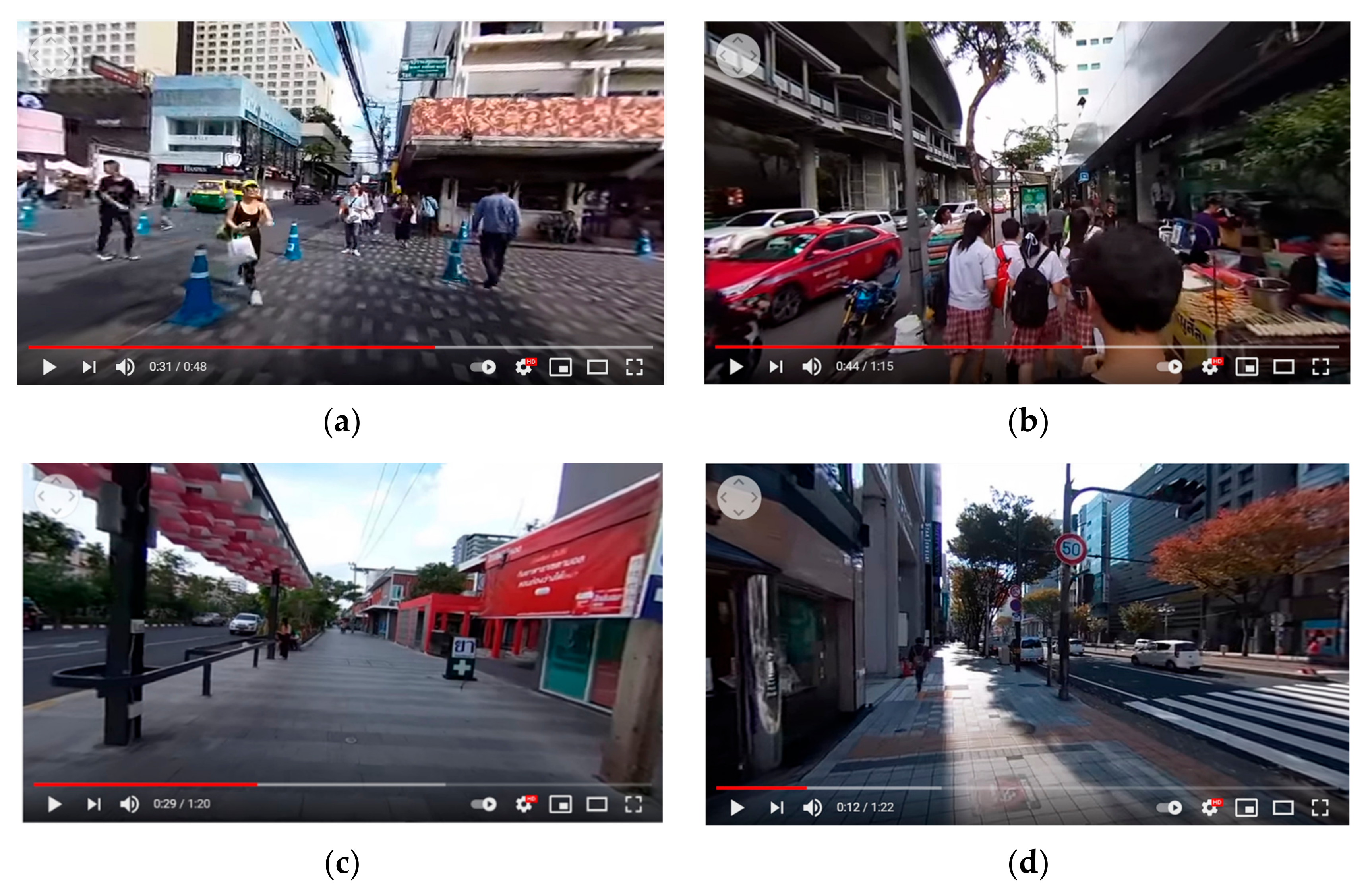 Sustainability 13 06825 g001a