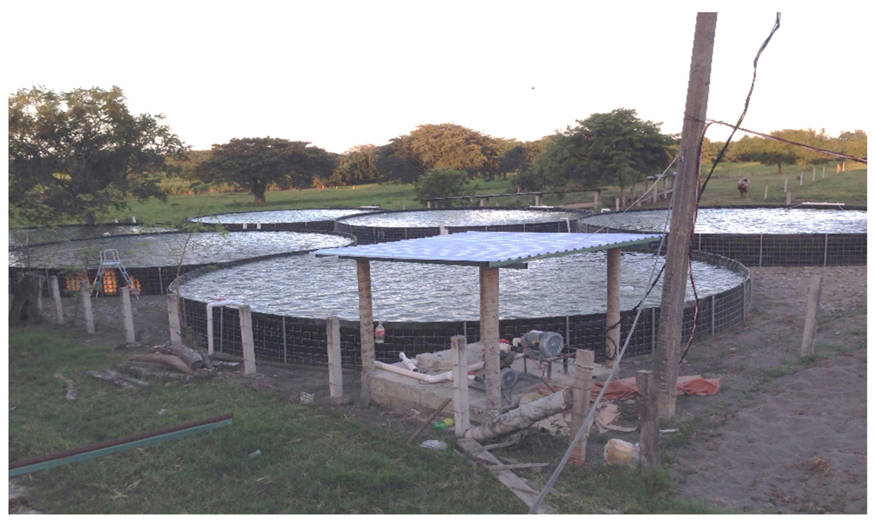 Sustainability 13 06853 g002 Sustainability 13 06853 g002