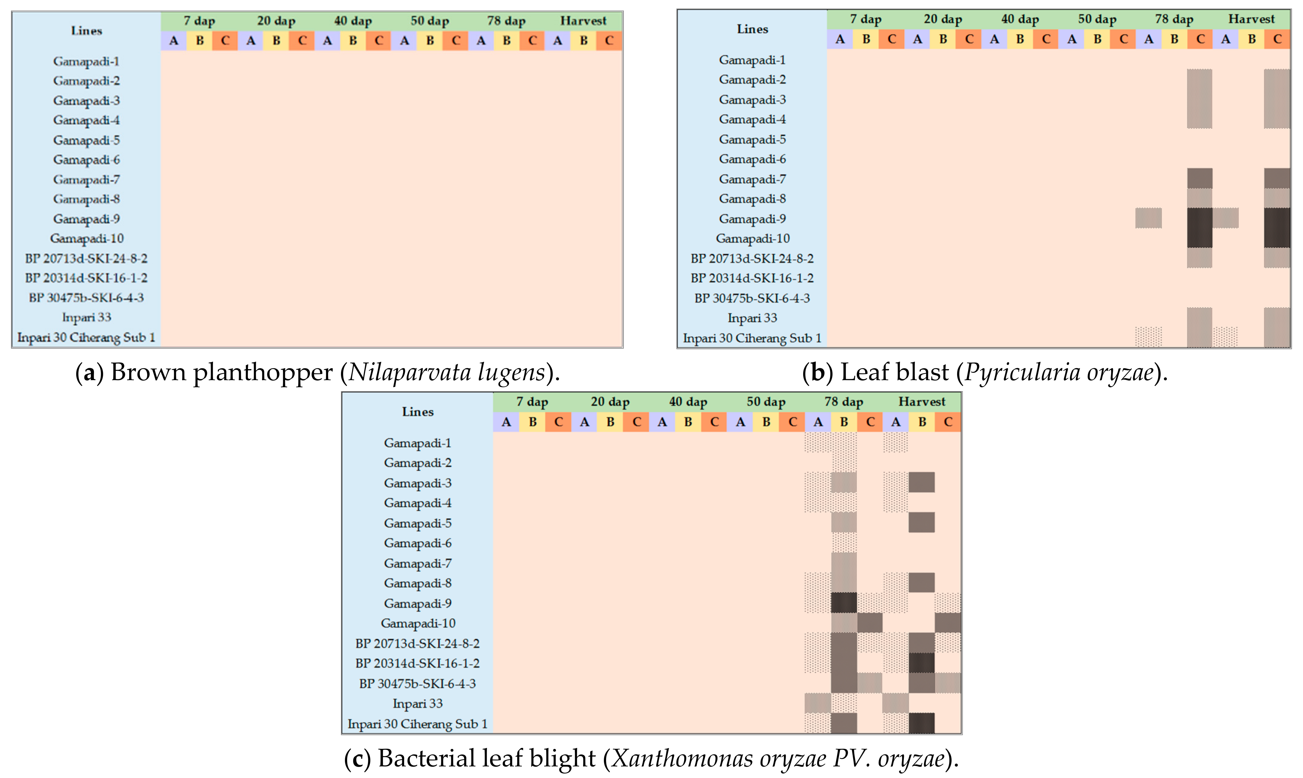 Sustainability 13 06856 g007
