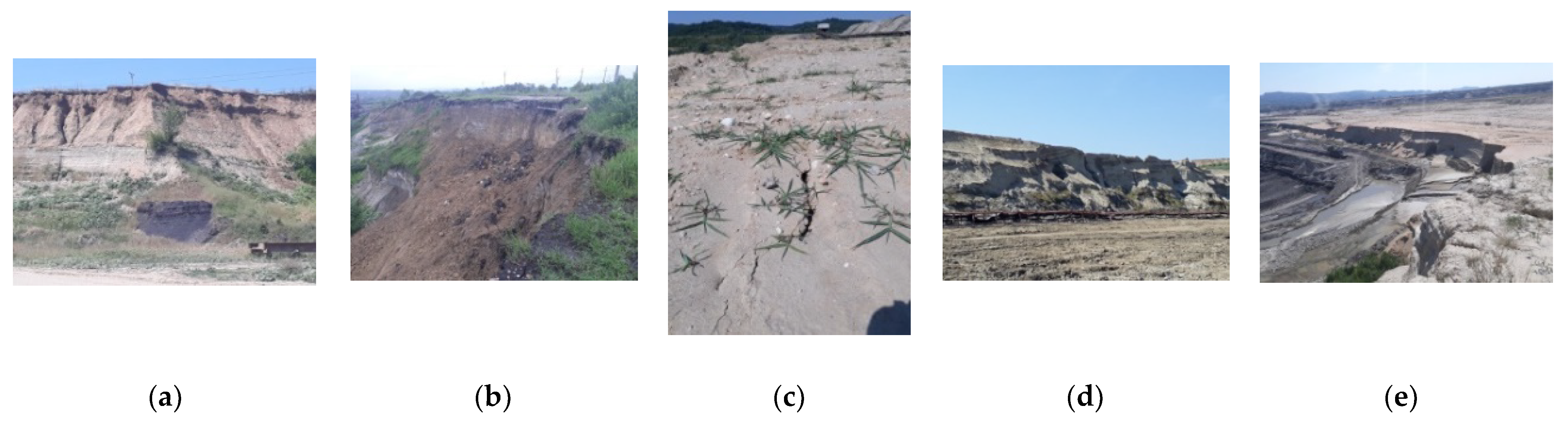 Sustainability 13 06919 g001