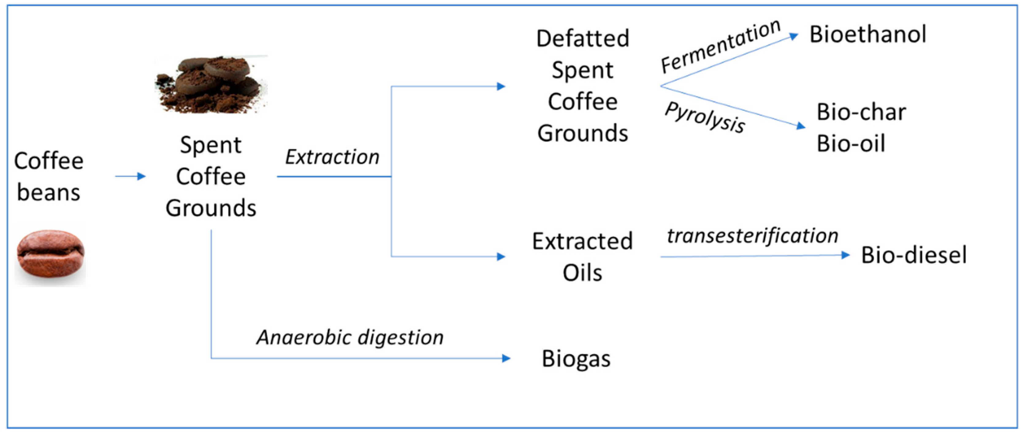 Complete Utilization of Spent Coffee Grounds To Produce Biodiesel, Bio-Oil,  and Biochar