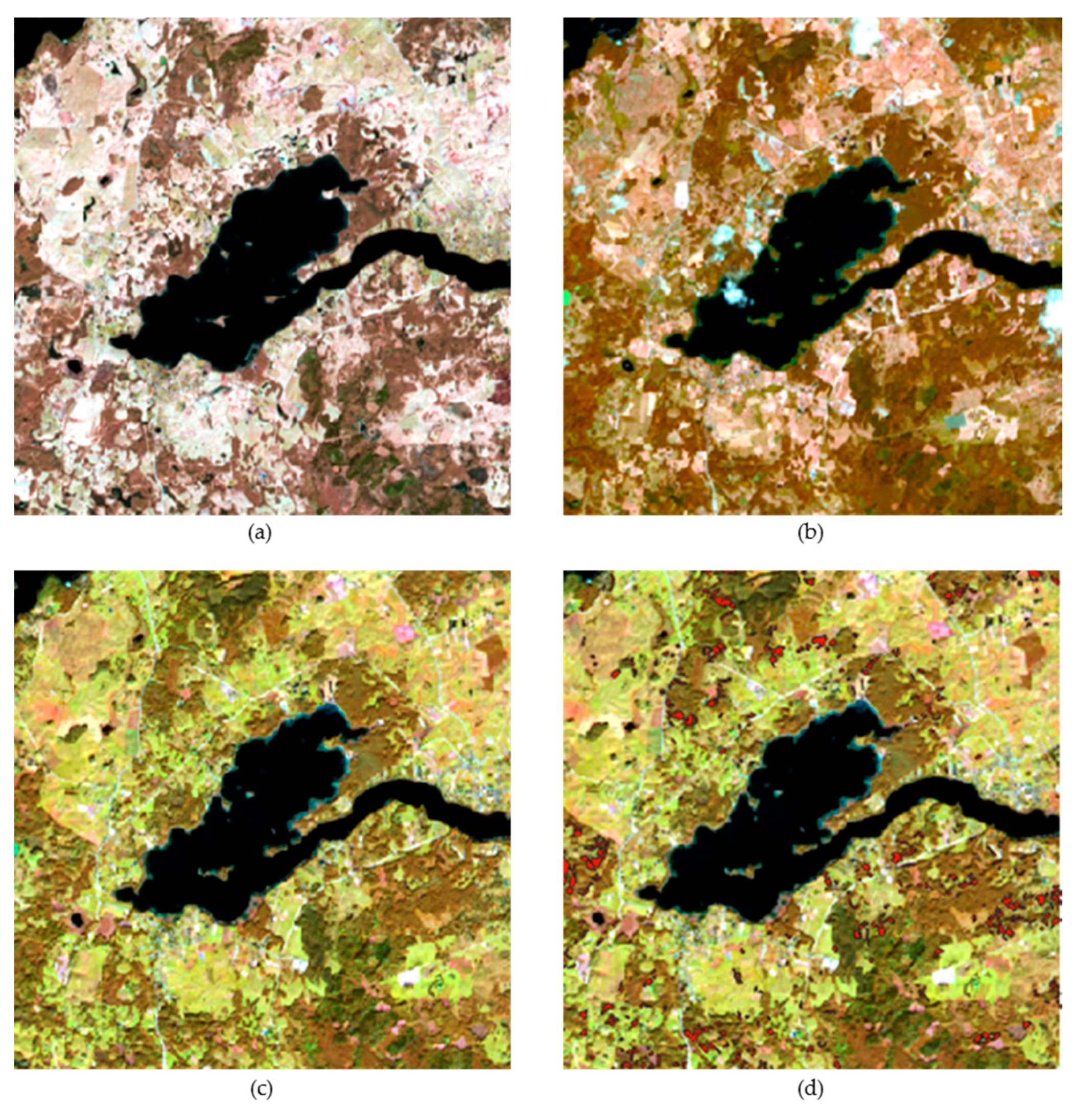 Sustainability 13 06941 g004