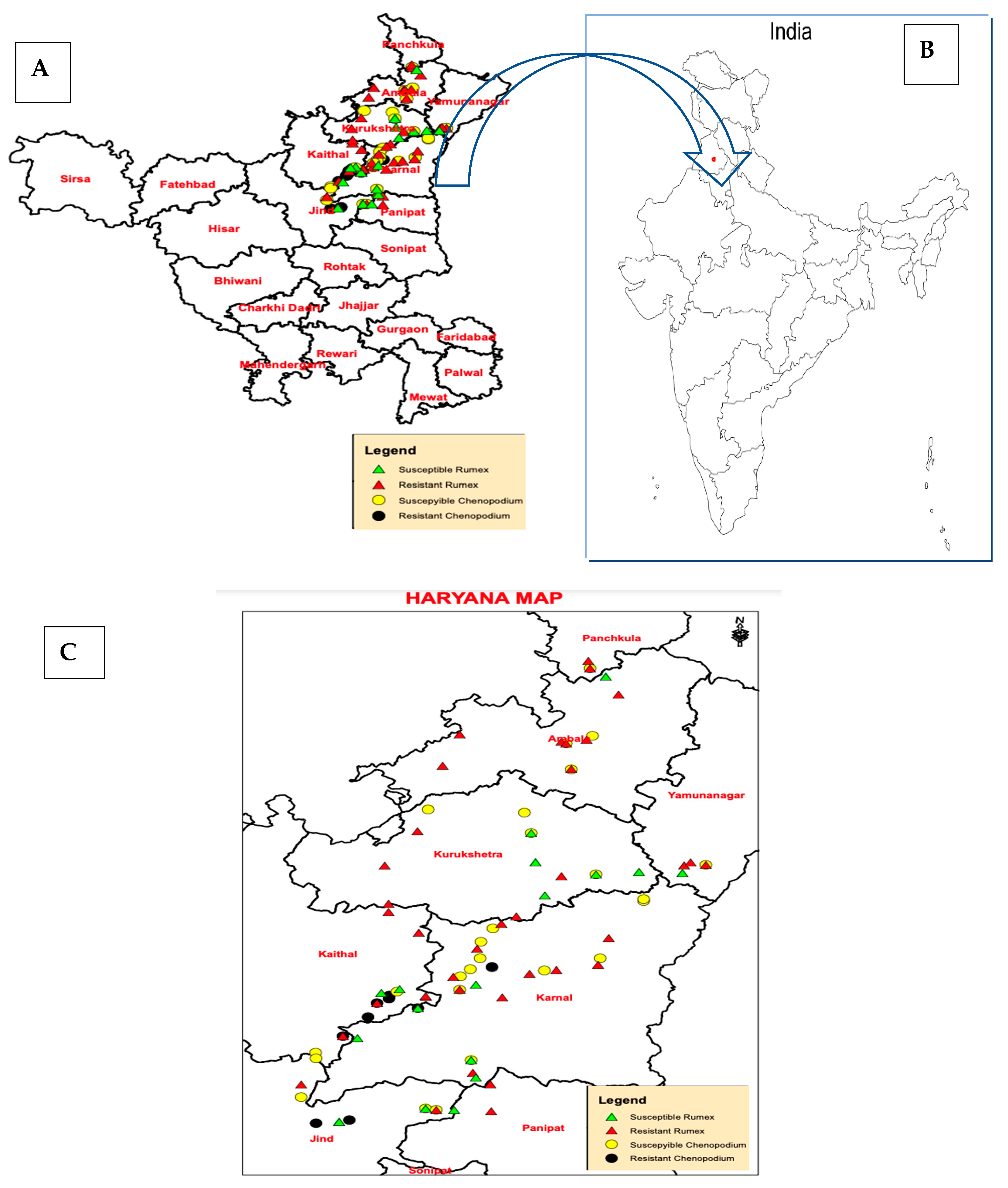 Sustainability 13 06947 g002 Sustainability 13 06947 g002