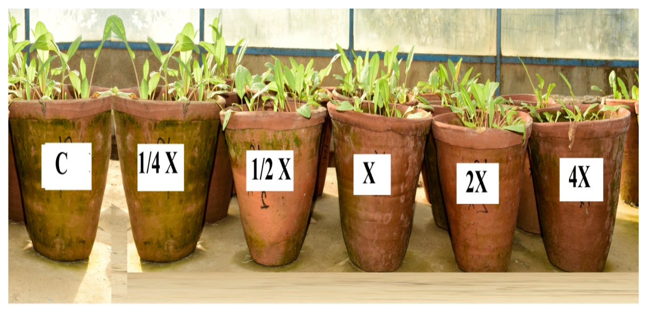 Sustainability 13 06947 g003 Sustainability 13 06947 g003