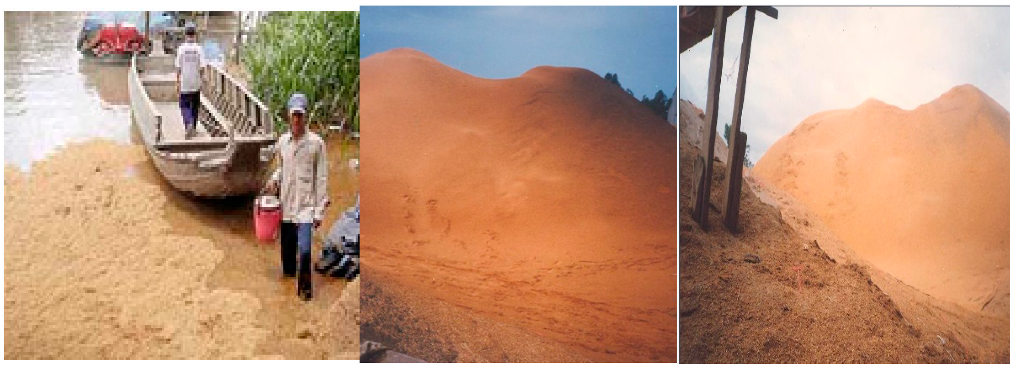 Sustainability 13 06950 g001