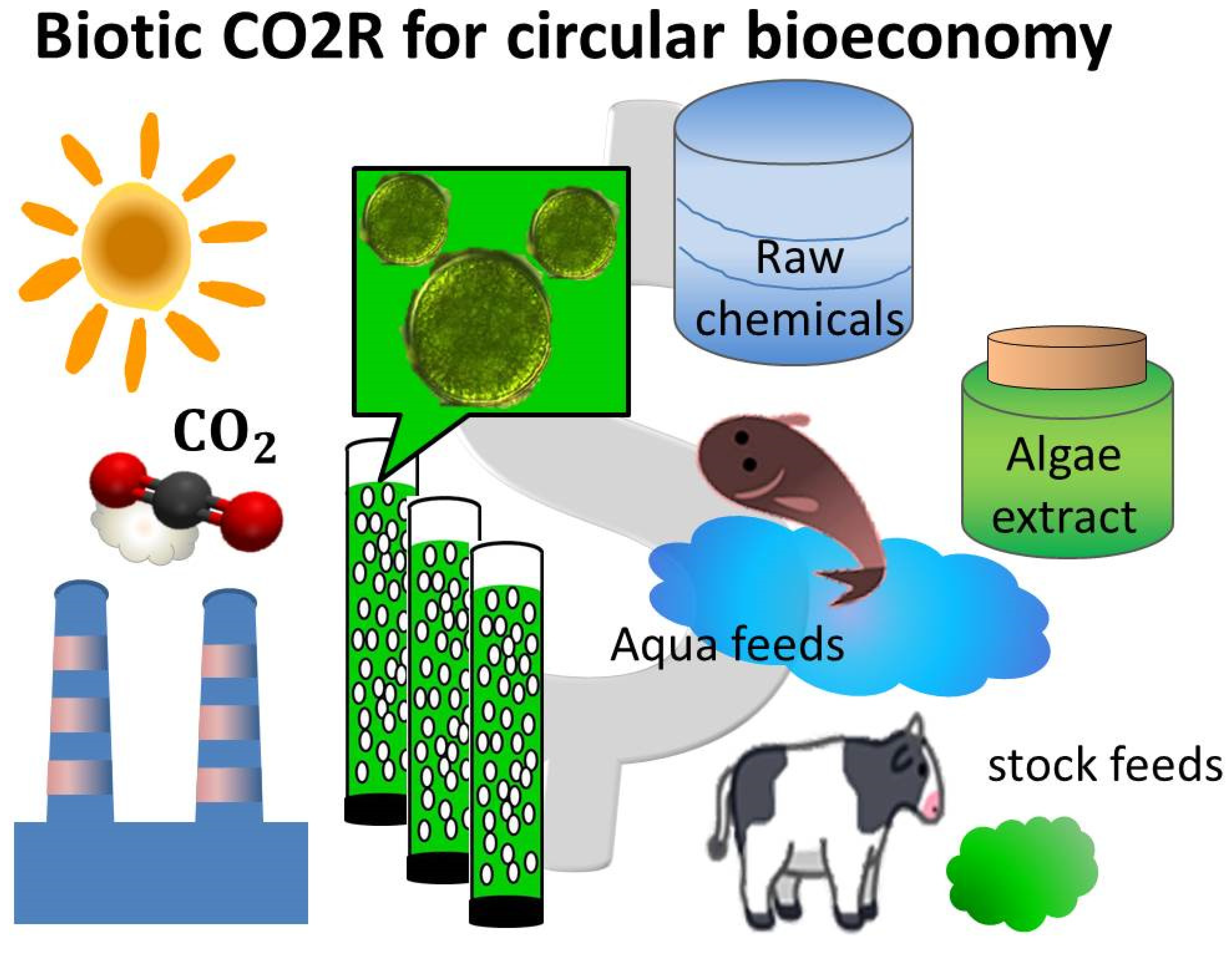 Sustainability 13 06962 g006