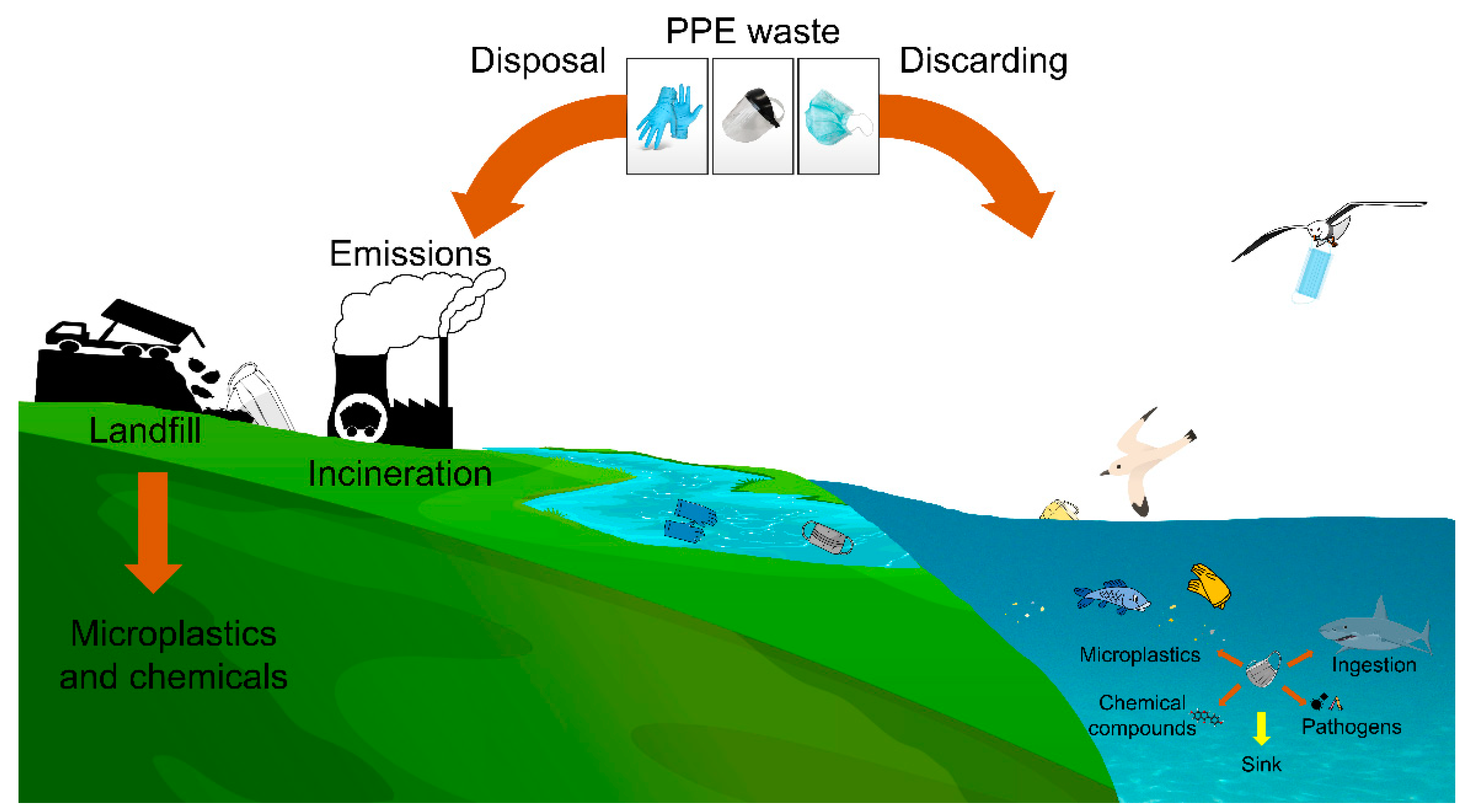 Sustainability | Free Full-Text | A New Challenge for the Management ...