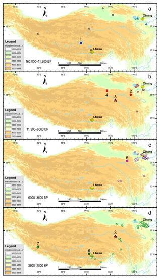 The History and Driving Force for Prehistoric Human