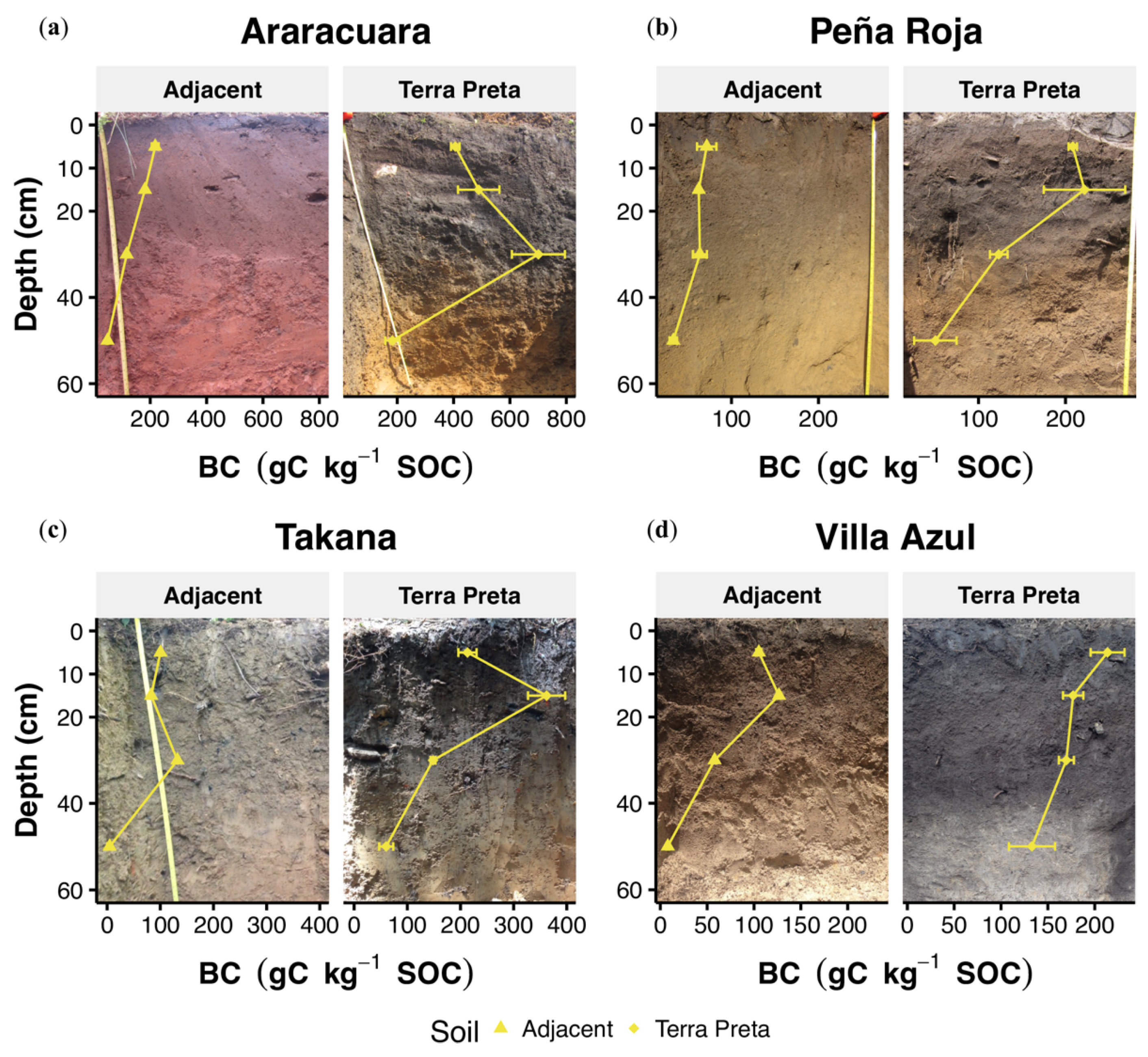 Sustainability 13 07088 g002