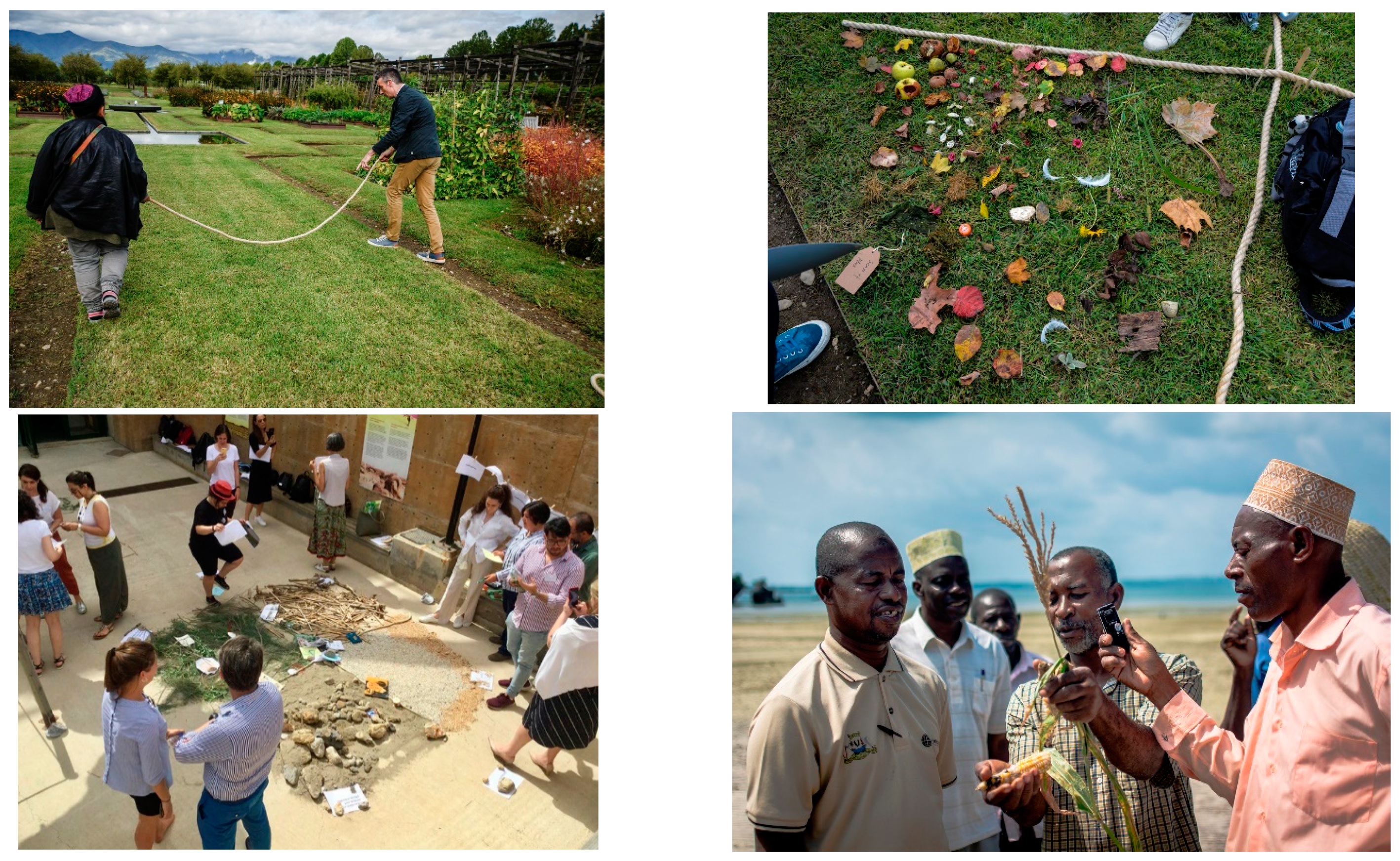 Sustainability 13 07128 g002 550