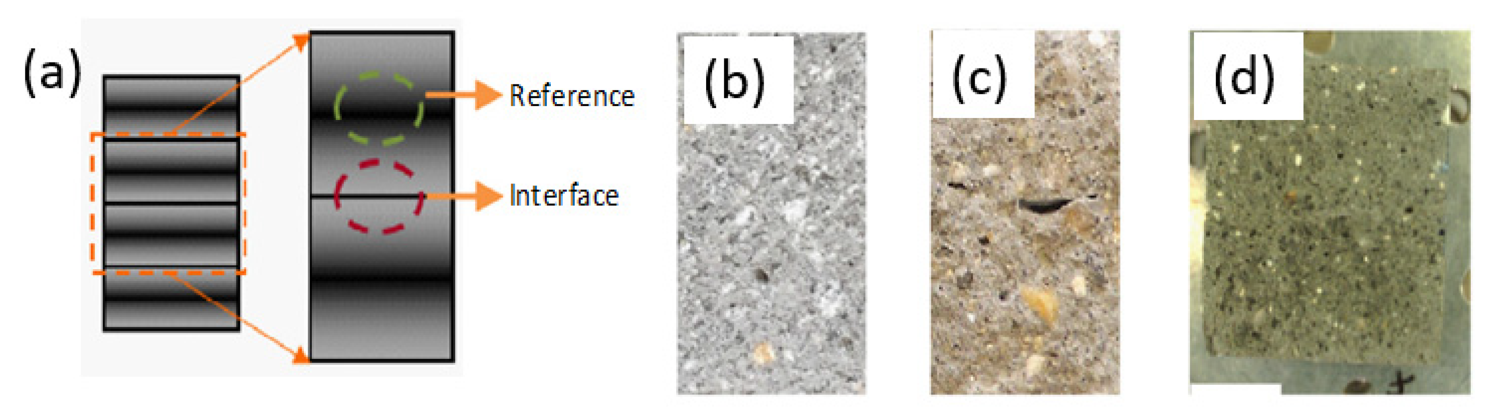 Sustainability 13 07137 g010