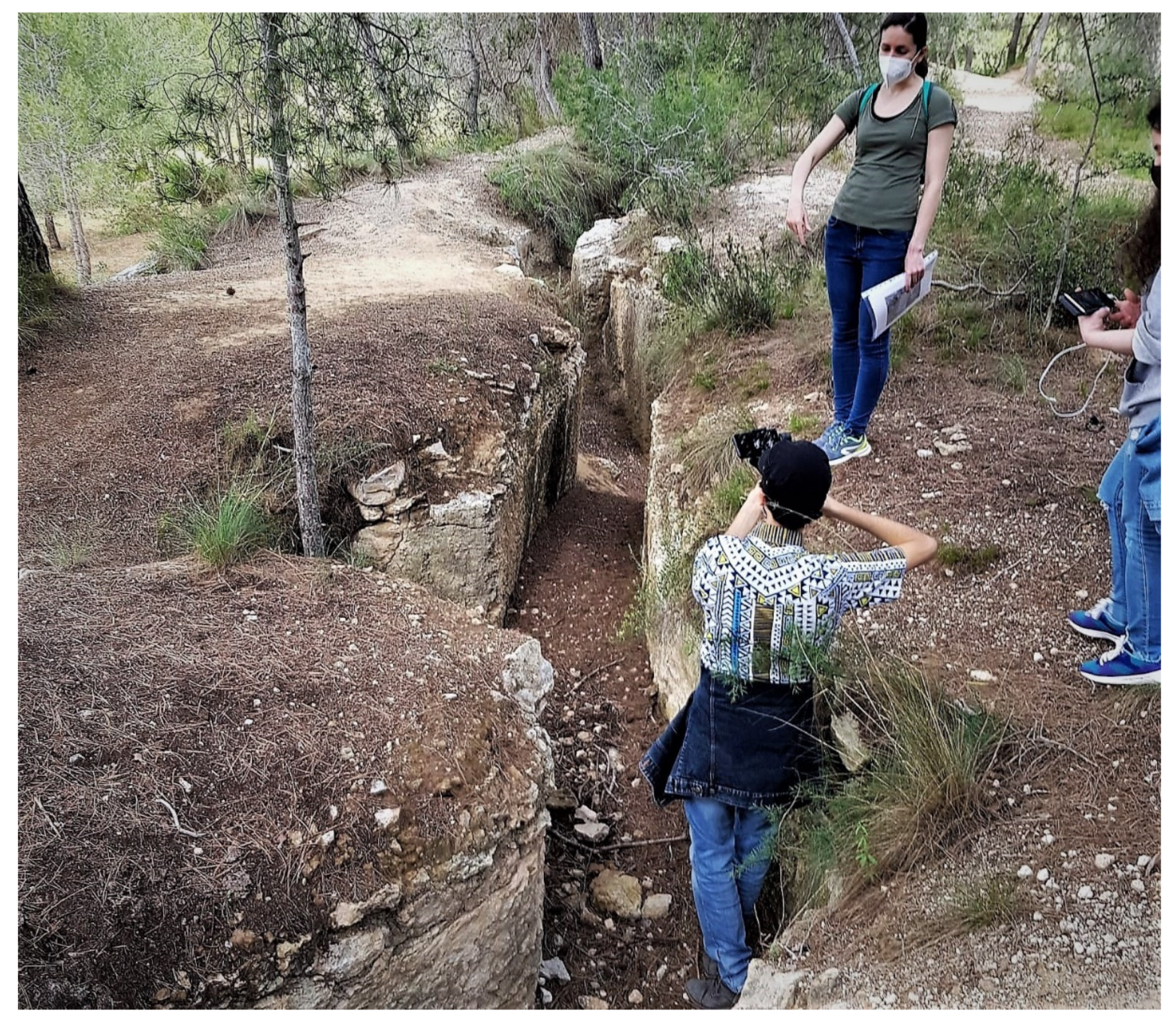 Sustainability 13 07179 g004 550