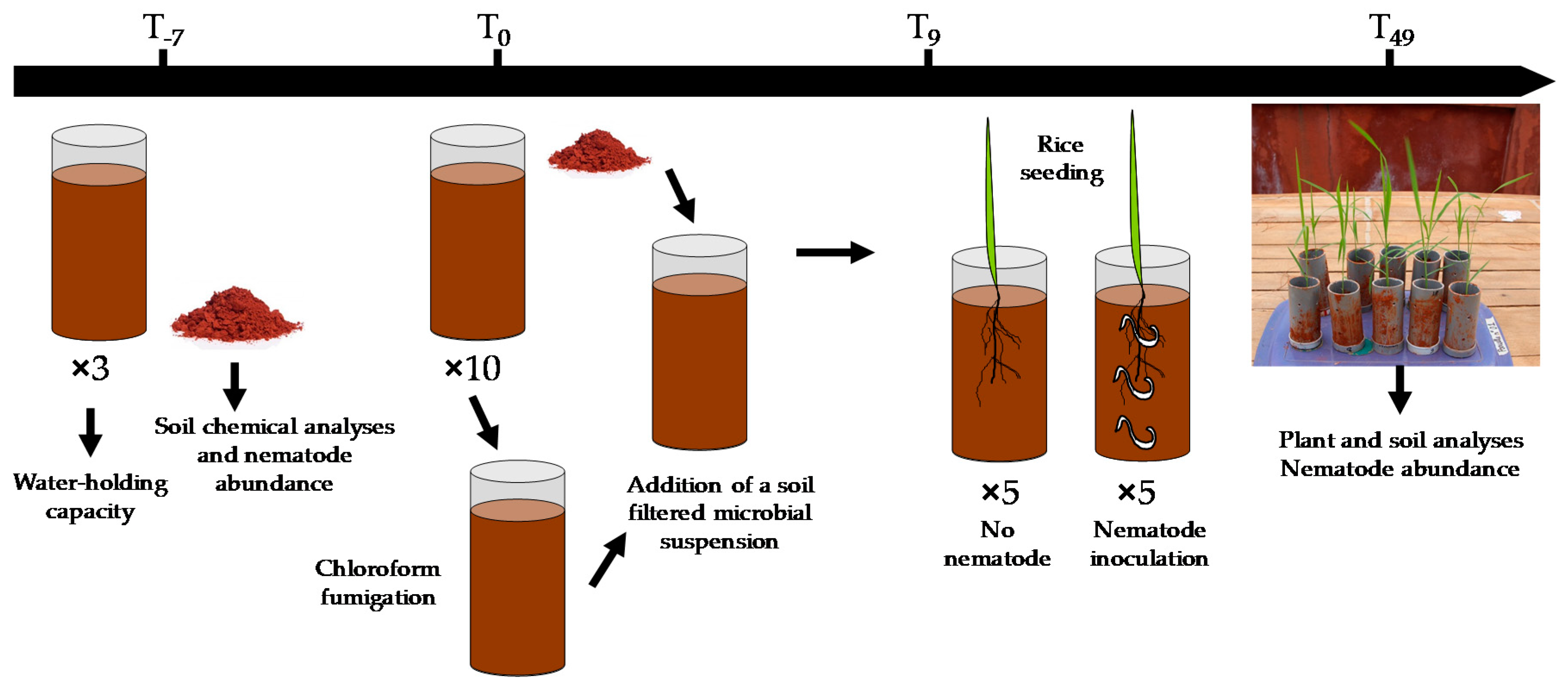 Sustainability Free Full Text Agricultural Practices Modulate The Beneficial Activity Of Bacterial Feeding Nematodes For Plant Growth And Nutrition Evidence From An Original Intact Soil Core Technique