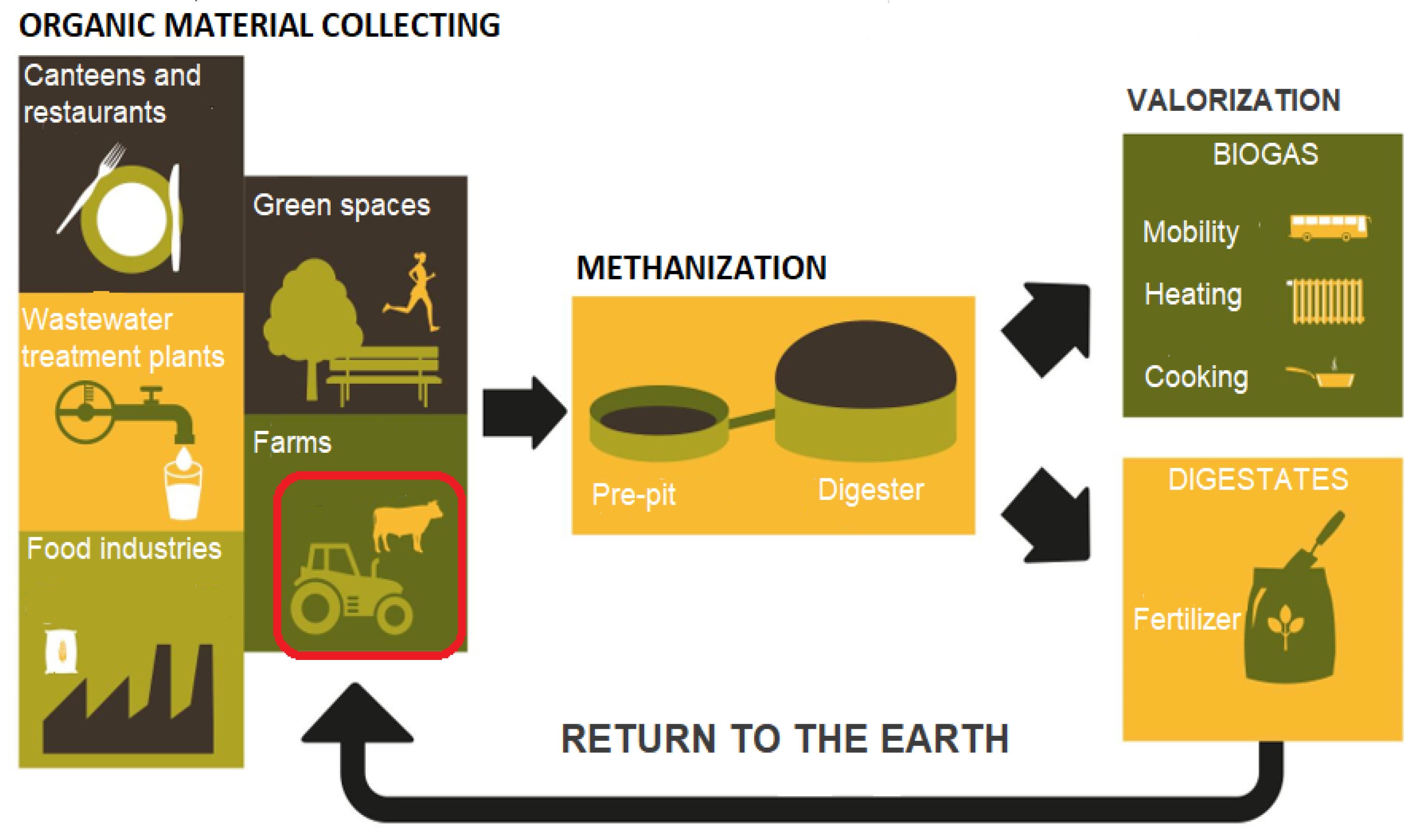 Sustainability 13 07202 g001