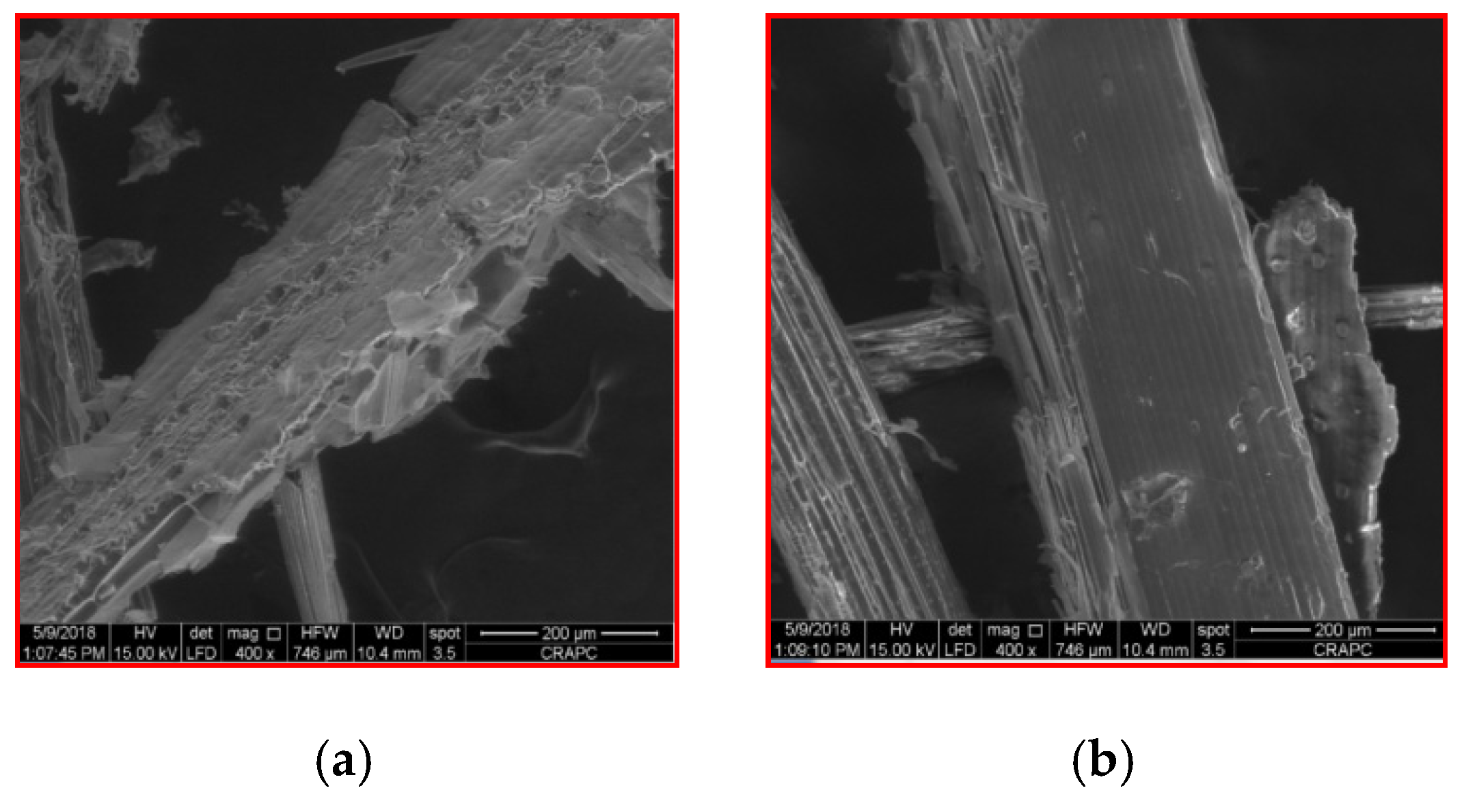 Sustainability 13 07202 g008