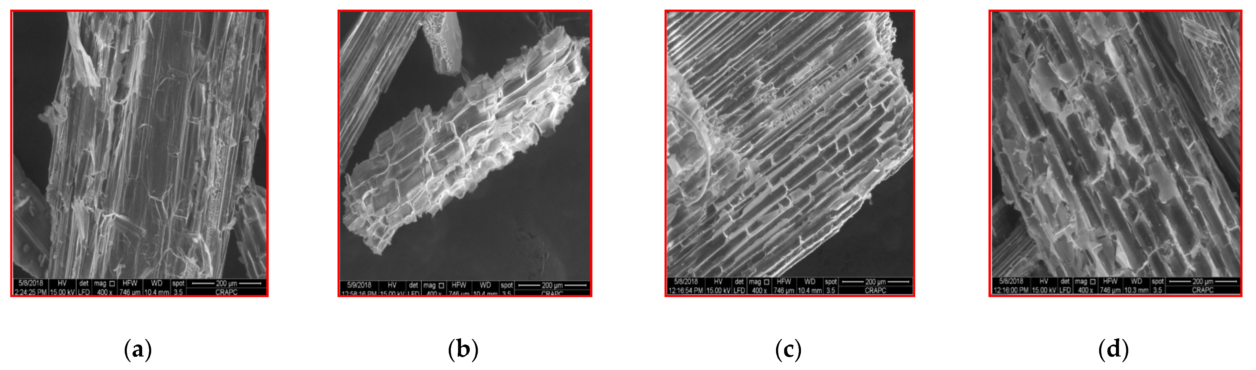 Sustainability 13 07202 g009a