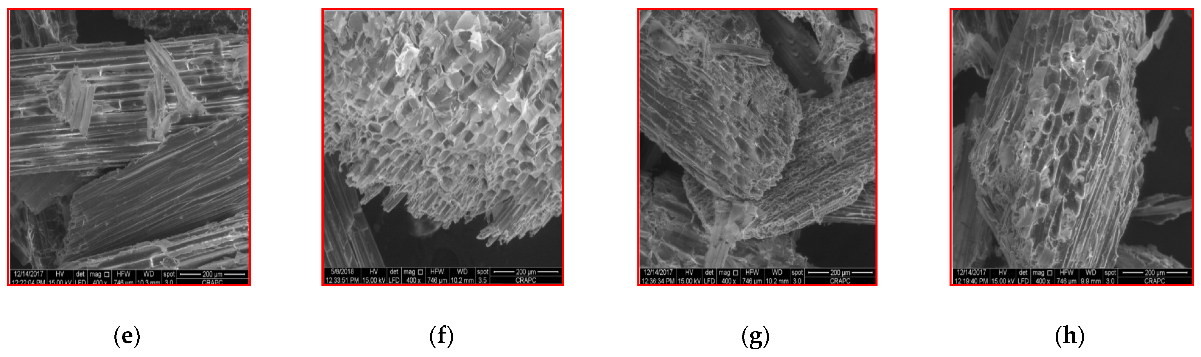 Sustainability 13 07202 g009b