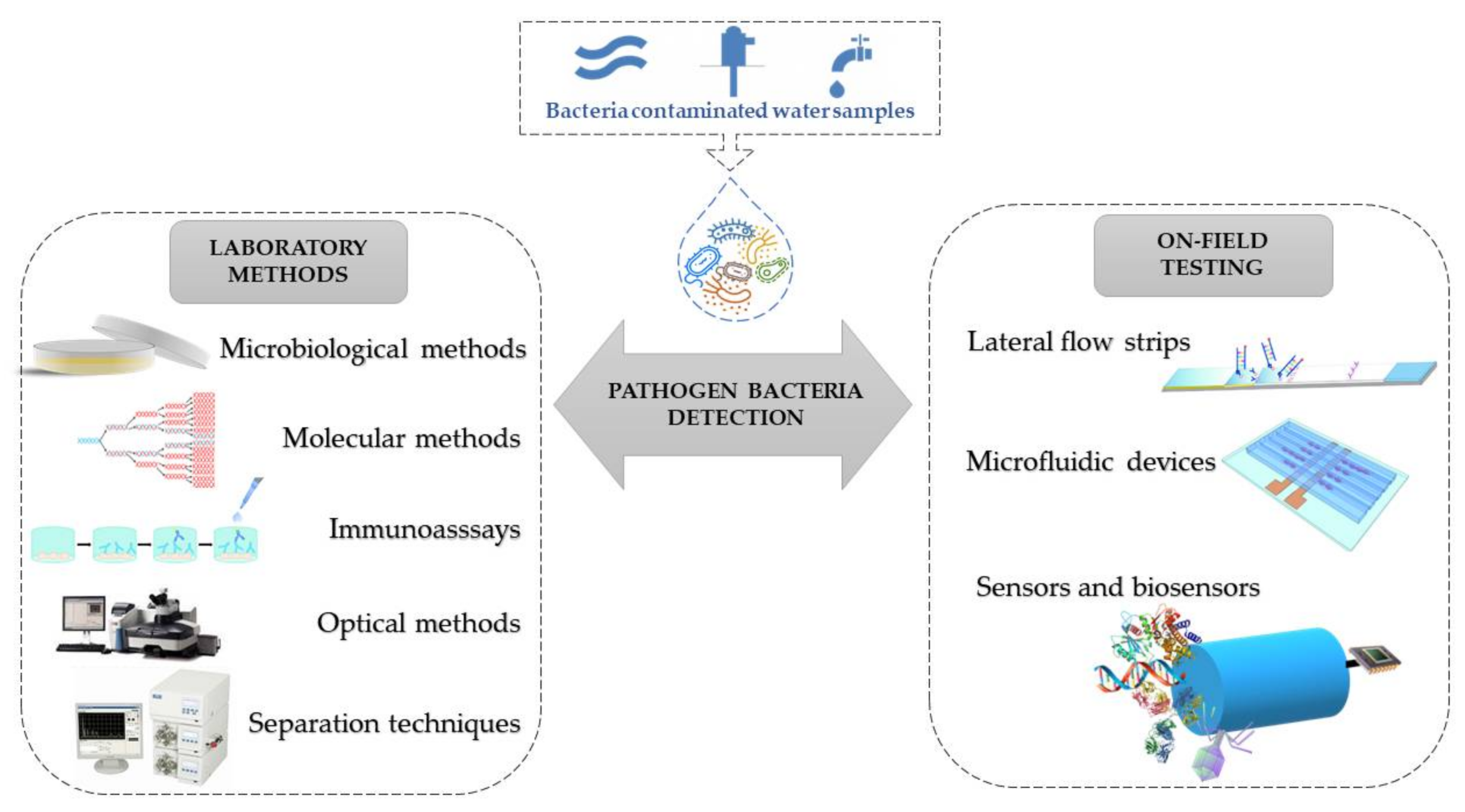 Sustainability | Free Full-Text | Modern Analytical Techniques for 
