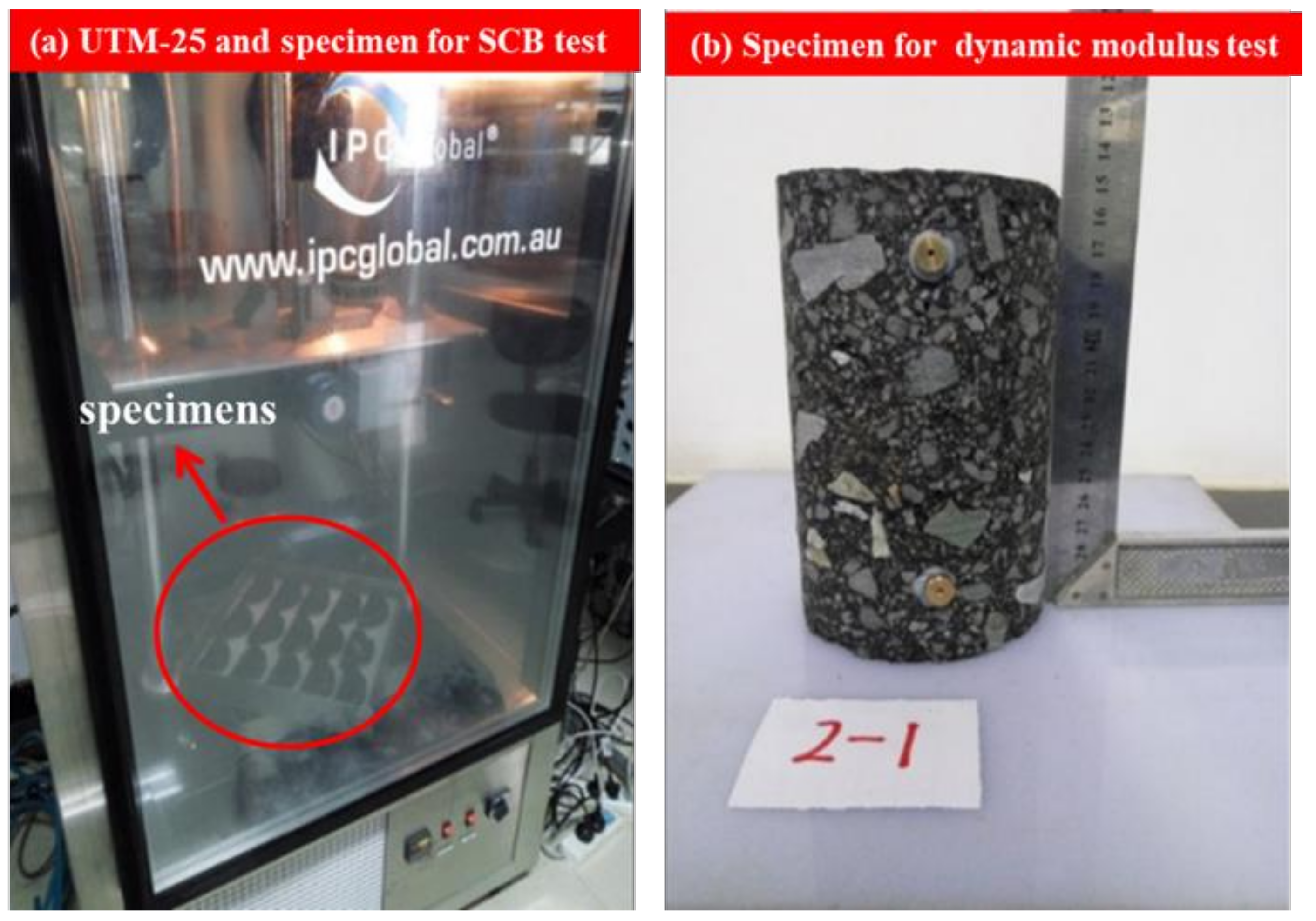 Sustainability 13 07284 g002