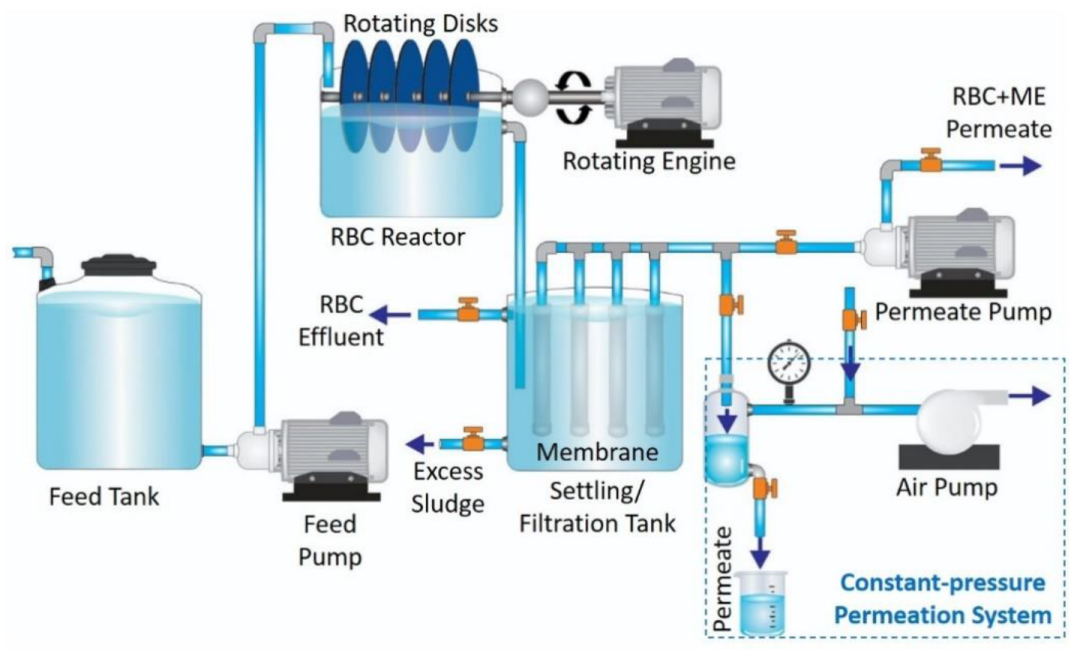 Activated sludge process versus rotating biological contactors in