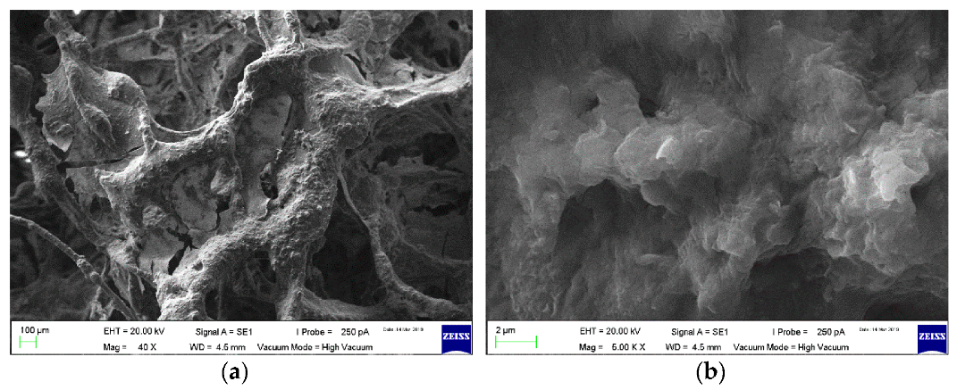 Sustainability 13 07287 g002