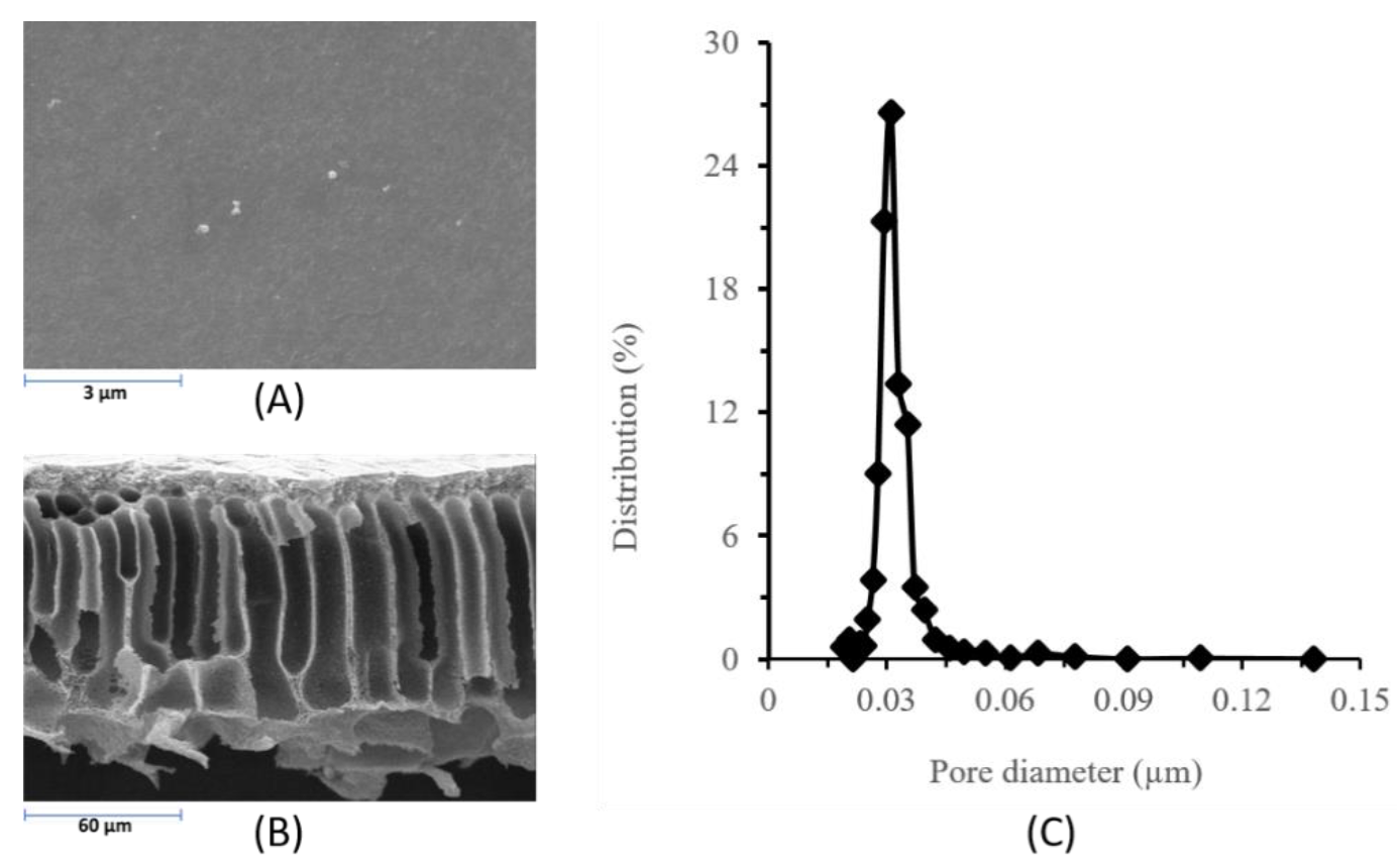 Sustainability 13 07287 g003