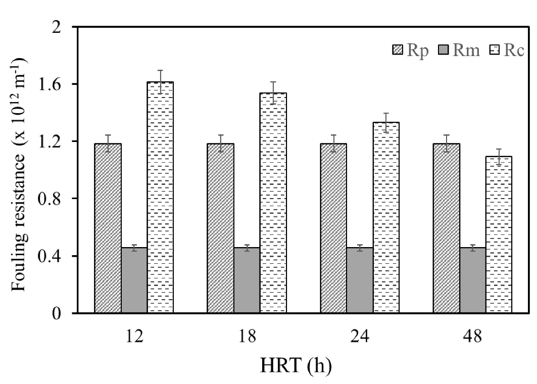 Sustainability 13 07287 g008