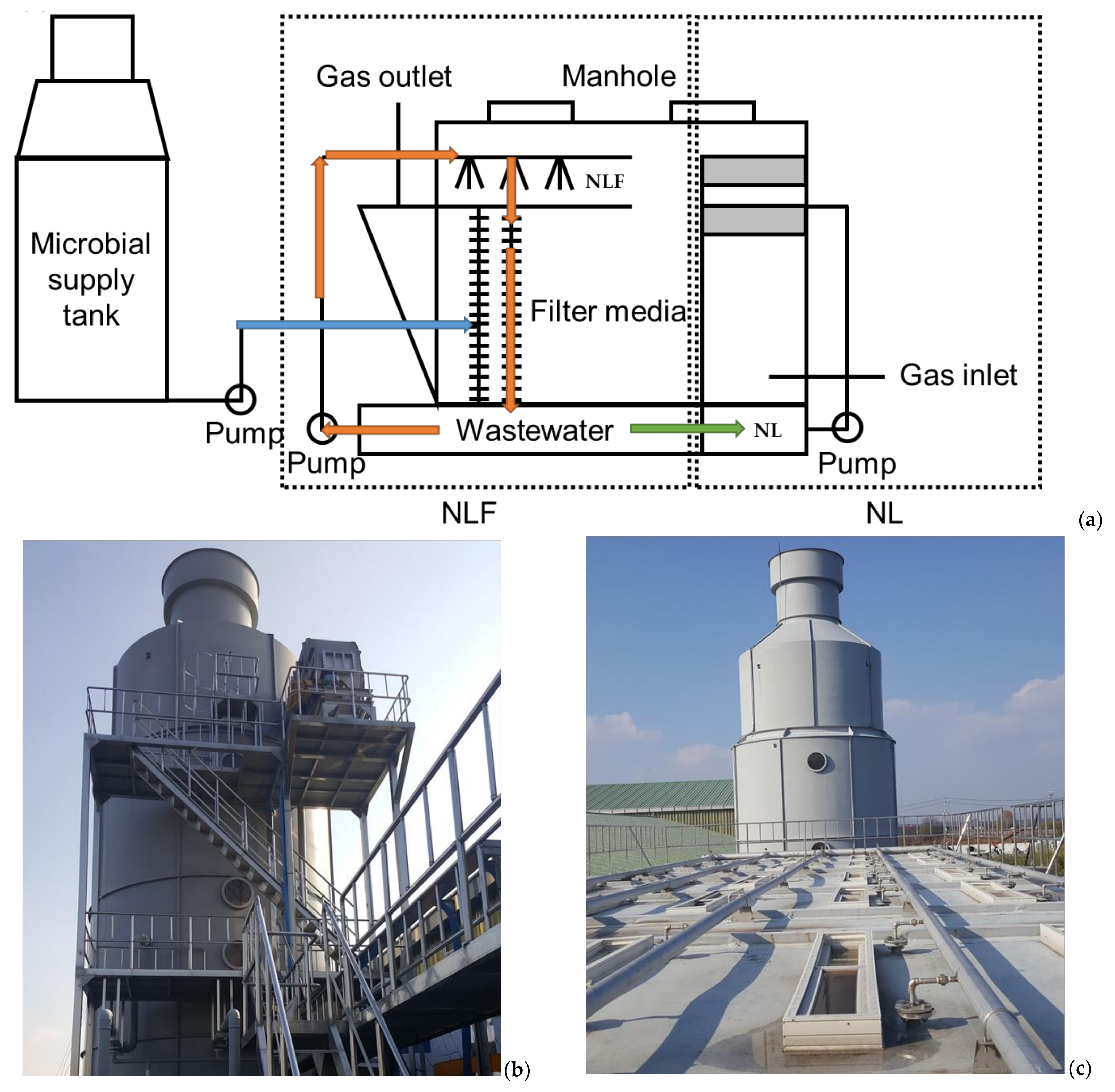 Sustainability 13 07358 g001