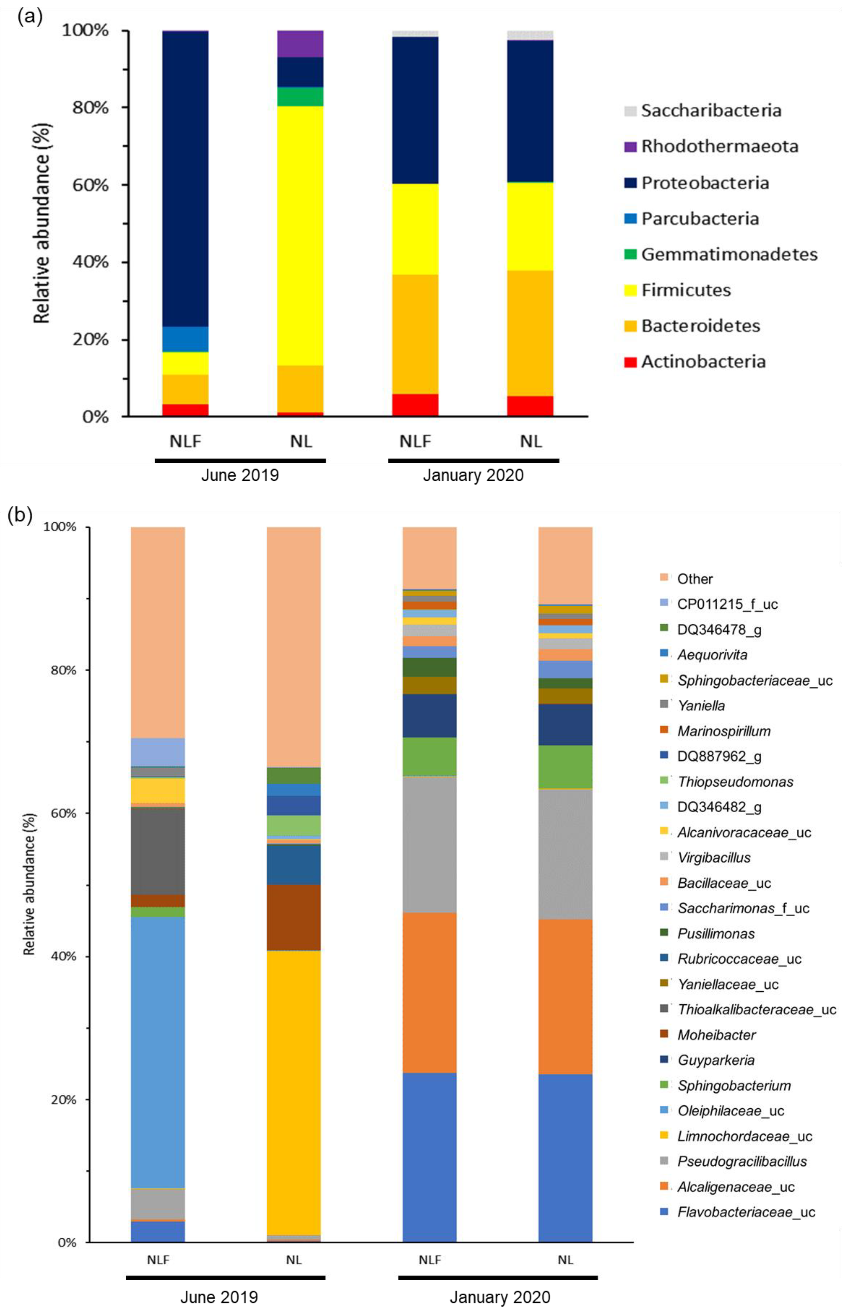 Sustainability 13 07358 g002