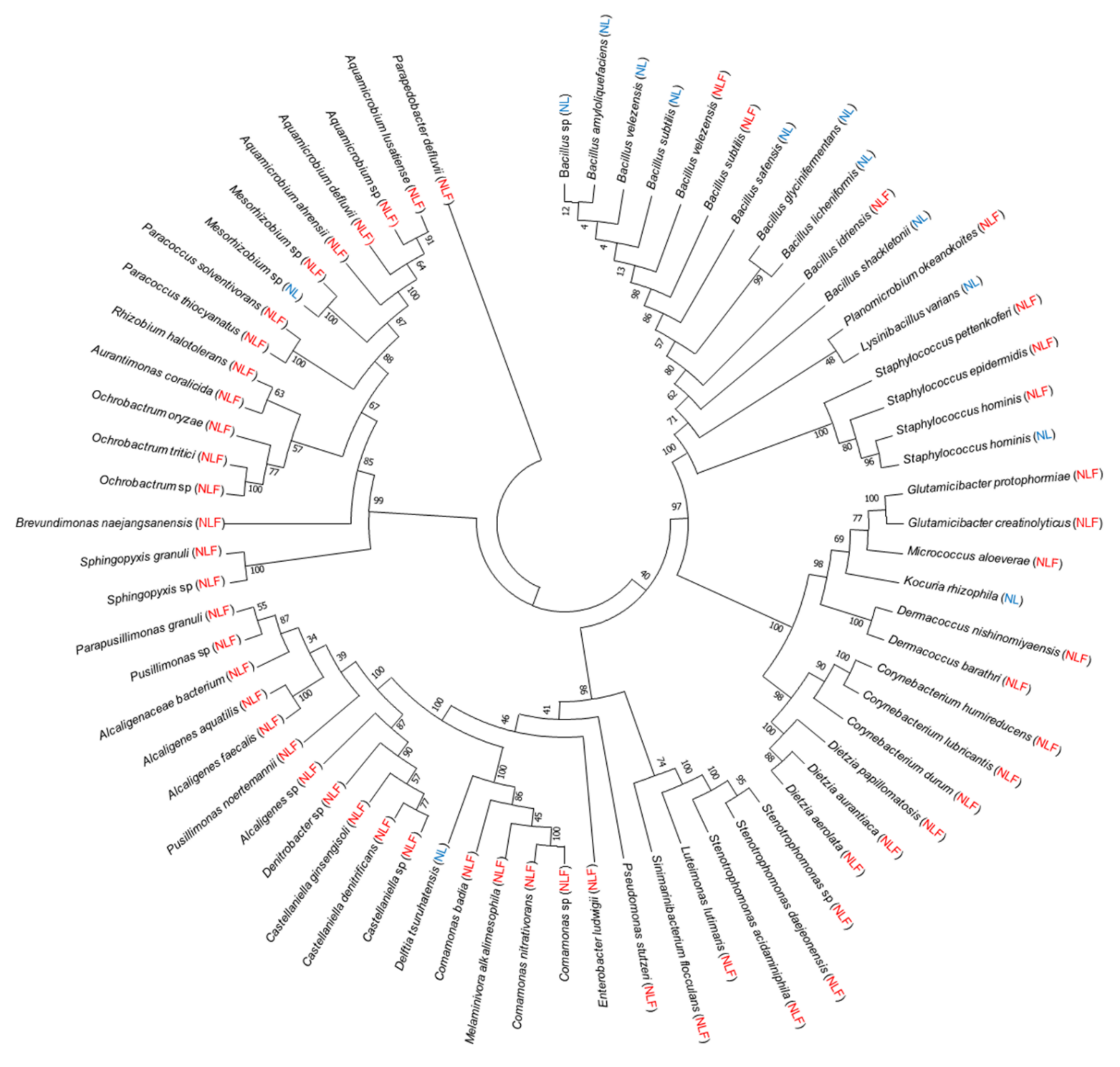 Sustainability 13 07358 g003